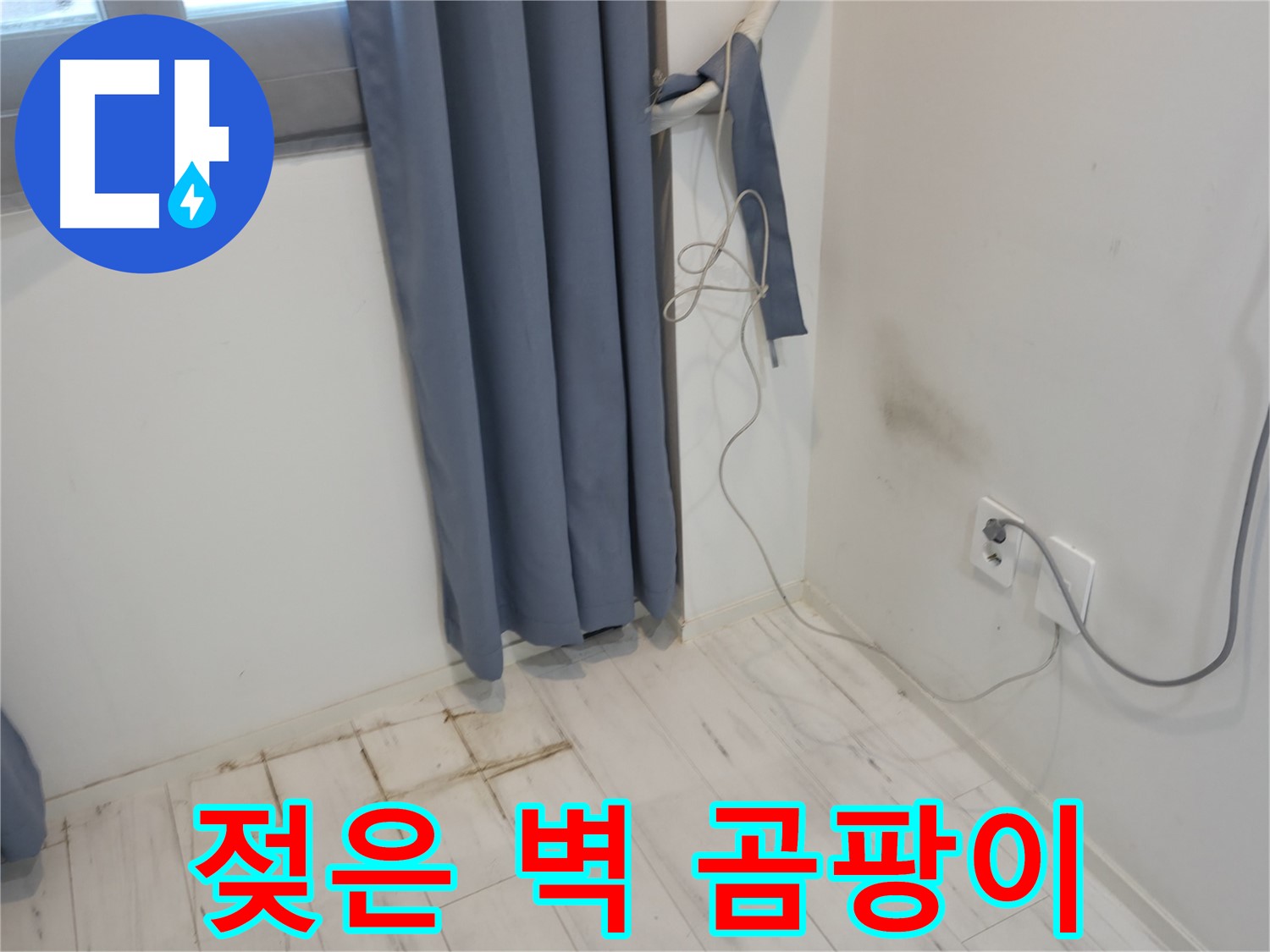 신림동 누수 - 젖은 벽과 곰팡이 발생 - 꼼꼼한 누수 점검 필요