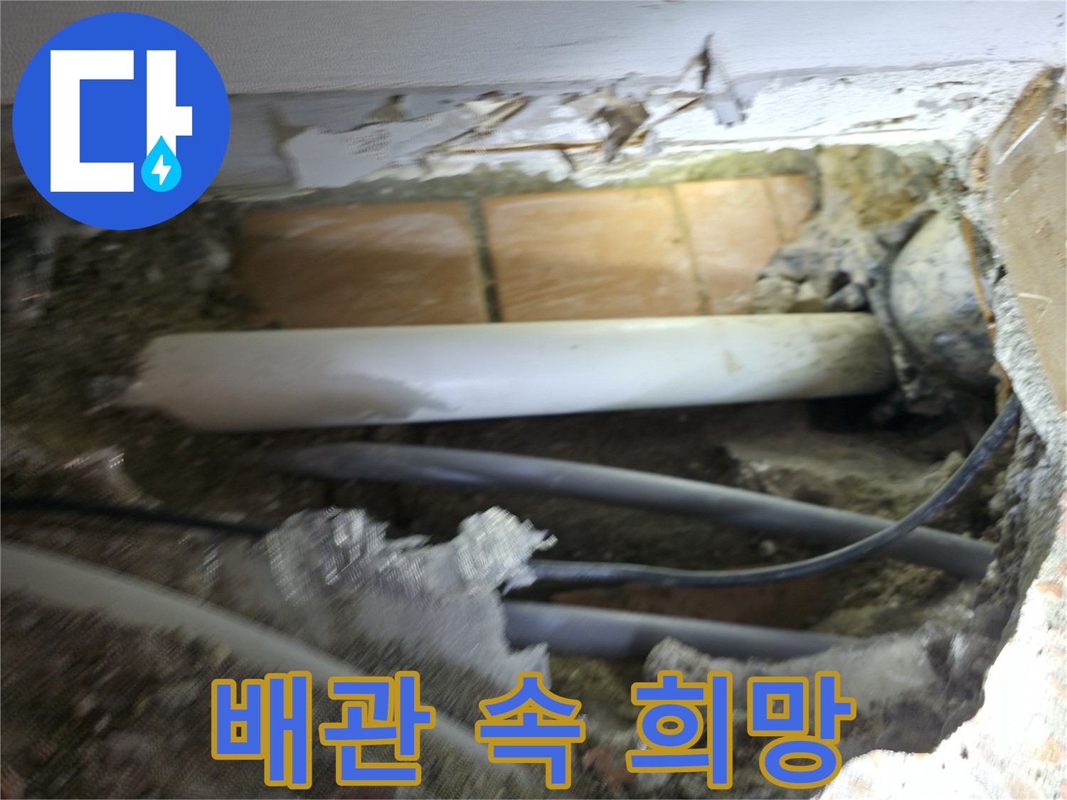 신림동 신림하이츠빌라 누수 - 굴착 작업, 복잡한 배관 속에서 희망을 찾다