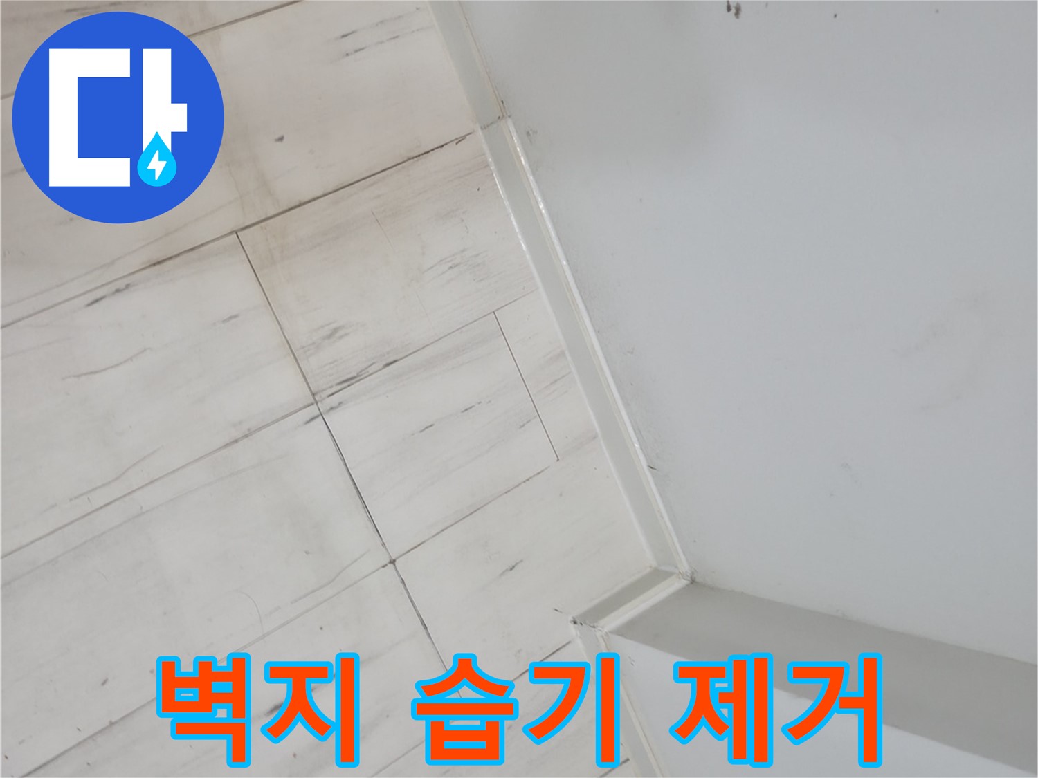 신림동 젖은 벽지 - 습기 누수 해결 전문가