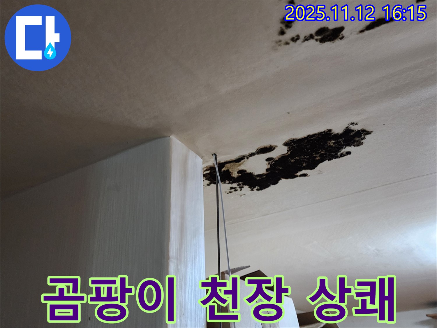 곰팡이 천장 - 누수 해결 - 포천 군내면 구읍리 누수 전문가가 상쾌한 공간으로