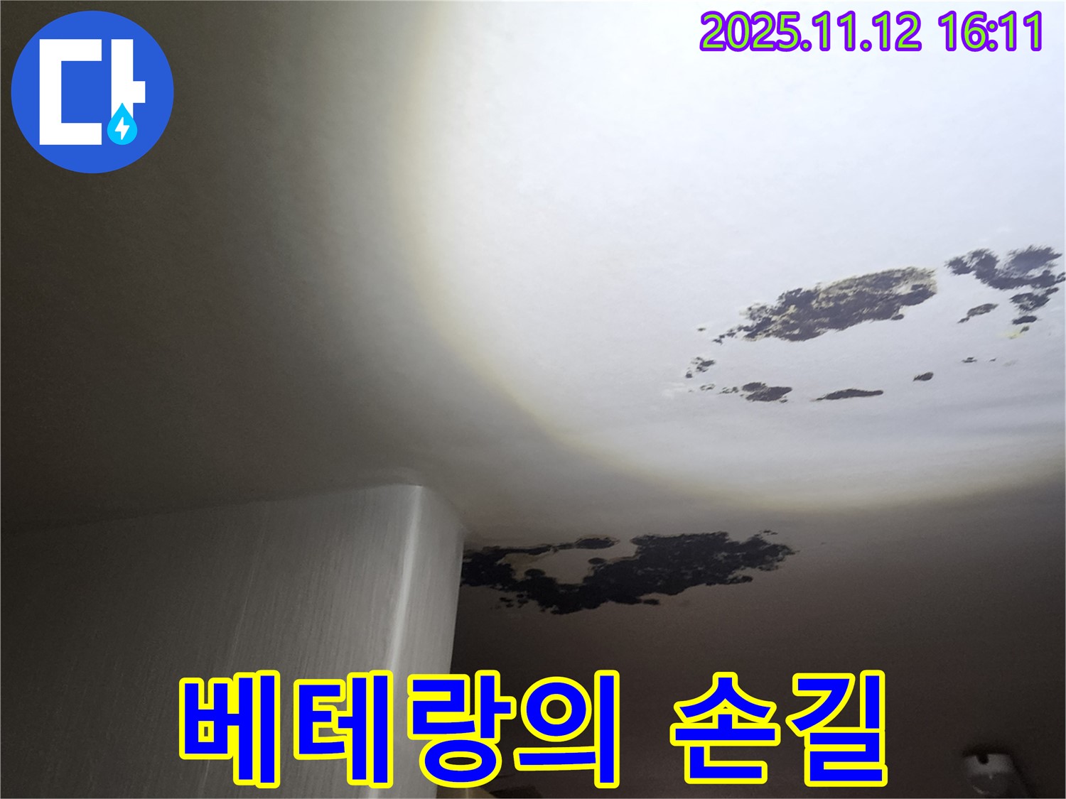 구읍리 누수 - 곰팡이 천장 누수, 포천 누수 베테랑 시공