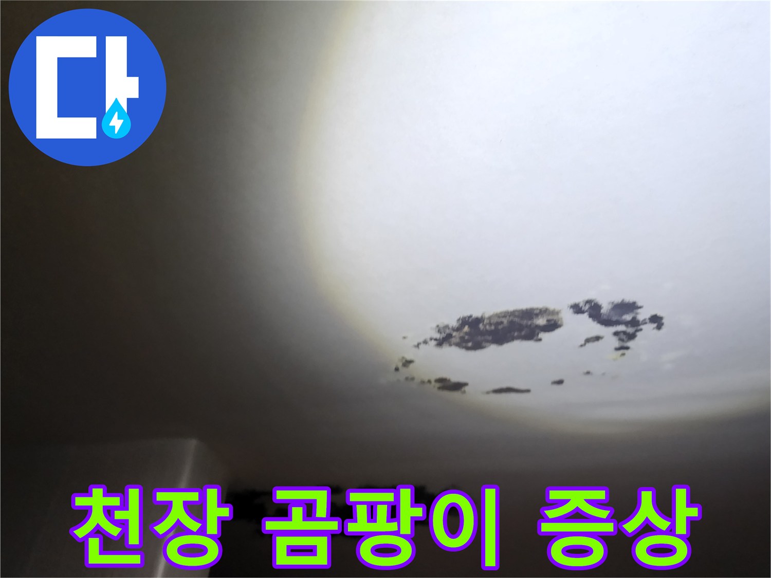 누수로 인한 천장 마감재의 검은 곰팡이와 얼룩 부위