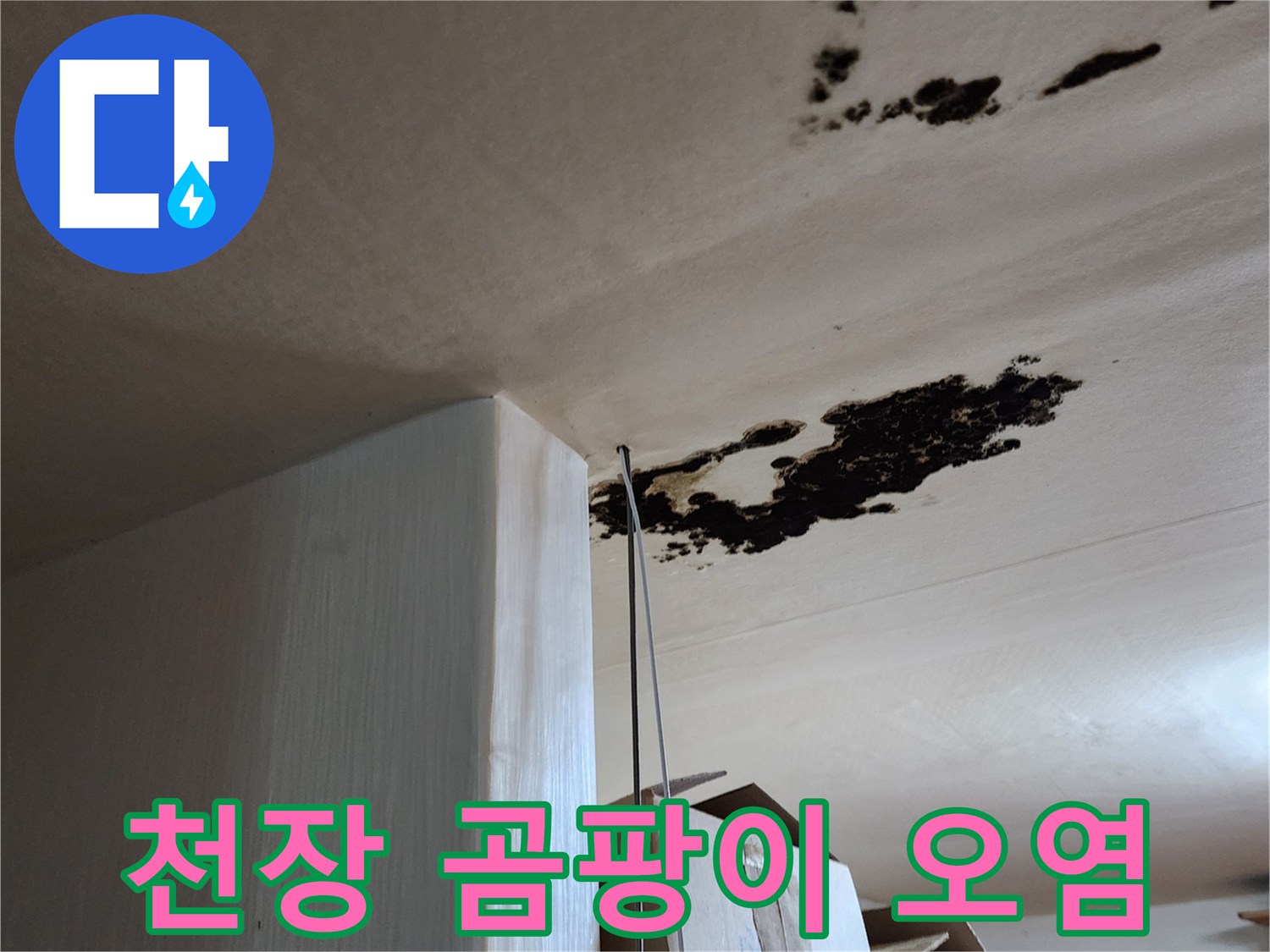 물샘으로 인해 검게 변한 천장 마감재 부위