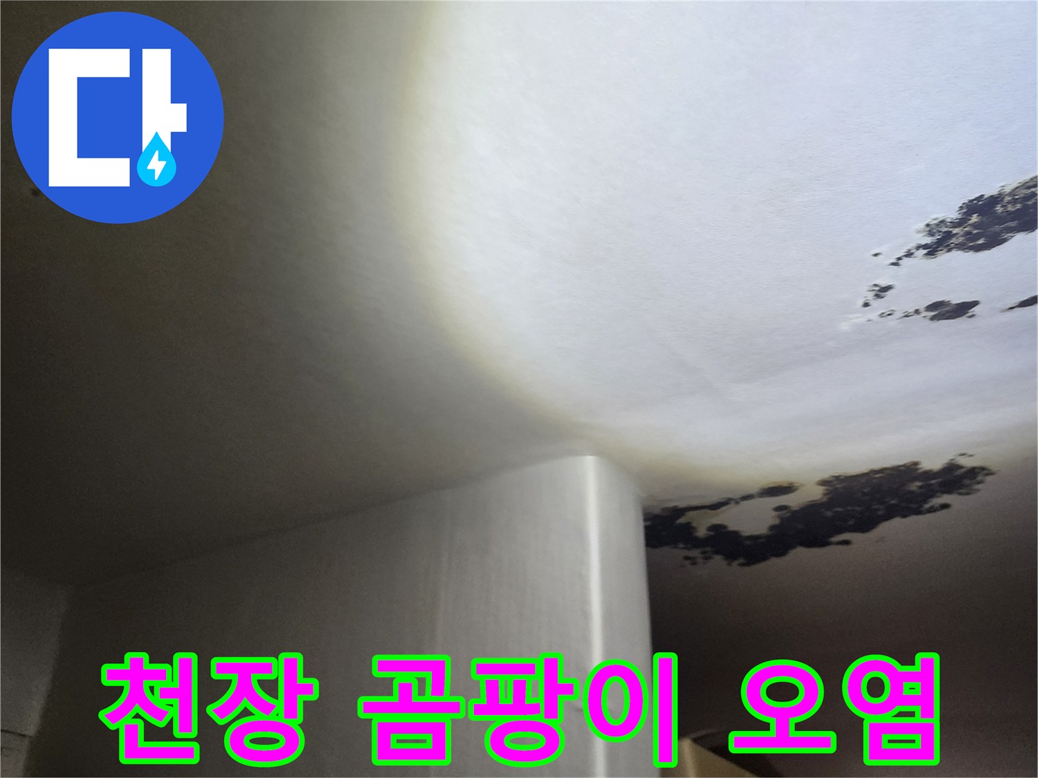 천장 마감재 부위-검게 변한 곰팡이와 습기 흔적 상세