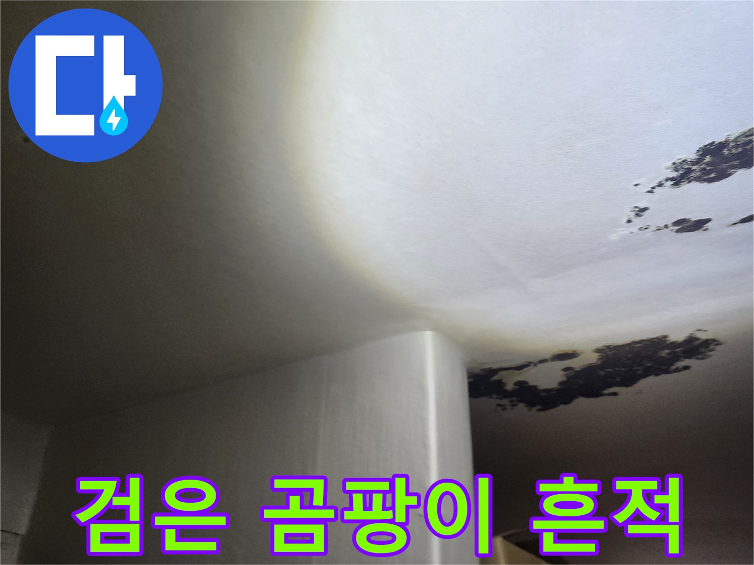 천장 벽지에 발생한 검은색 곰팡이 부위