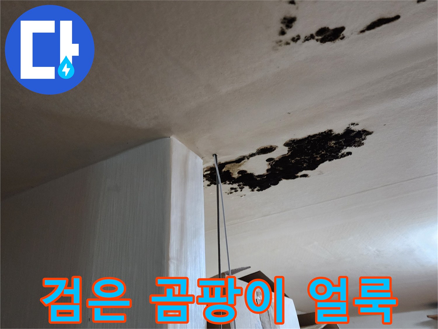 천장 부위의 심한 곰팡이와 물 스며든 흔적
