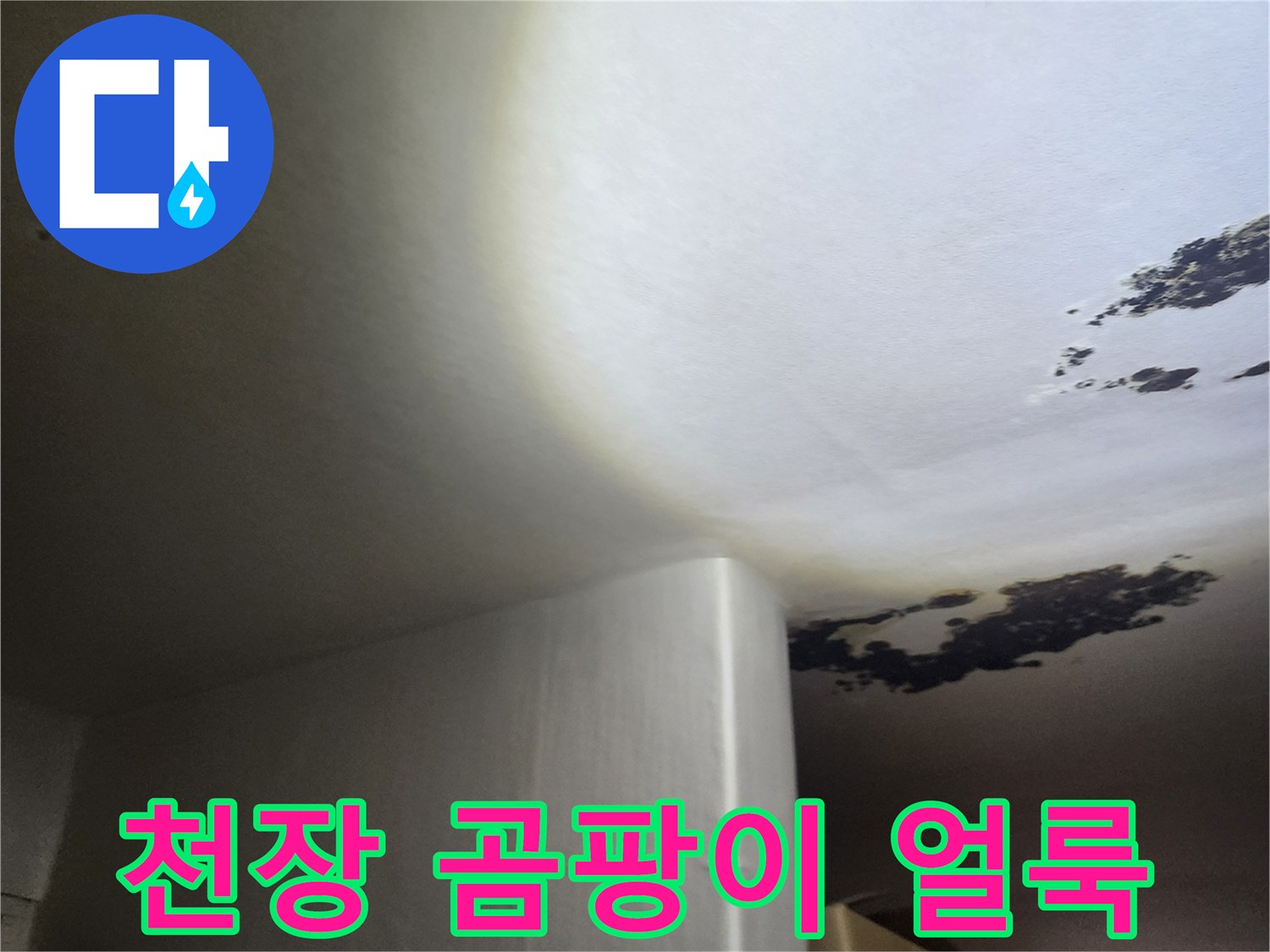 천장에 발생한 검은 곰팡이와 습기 흔적