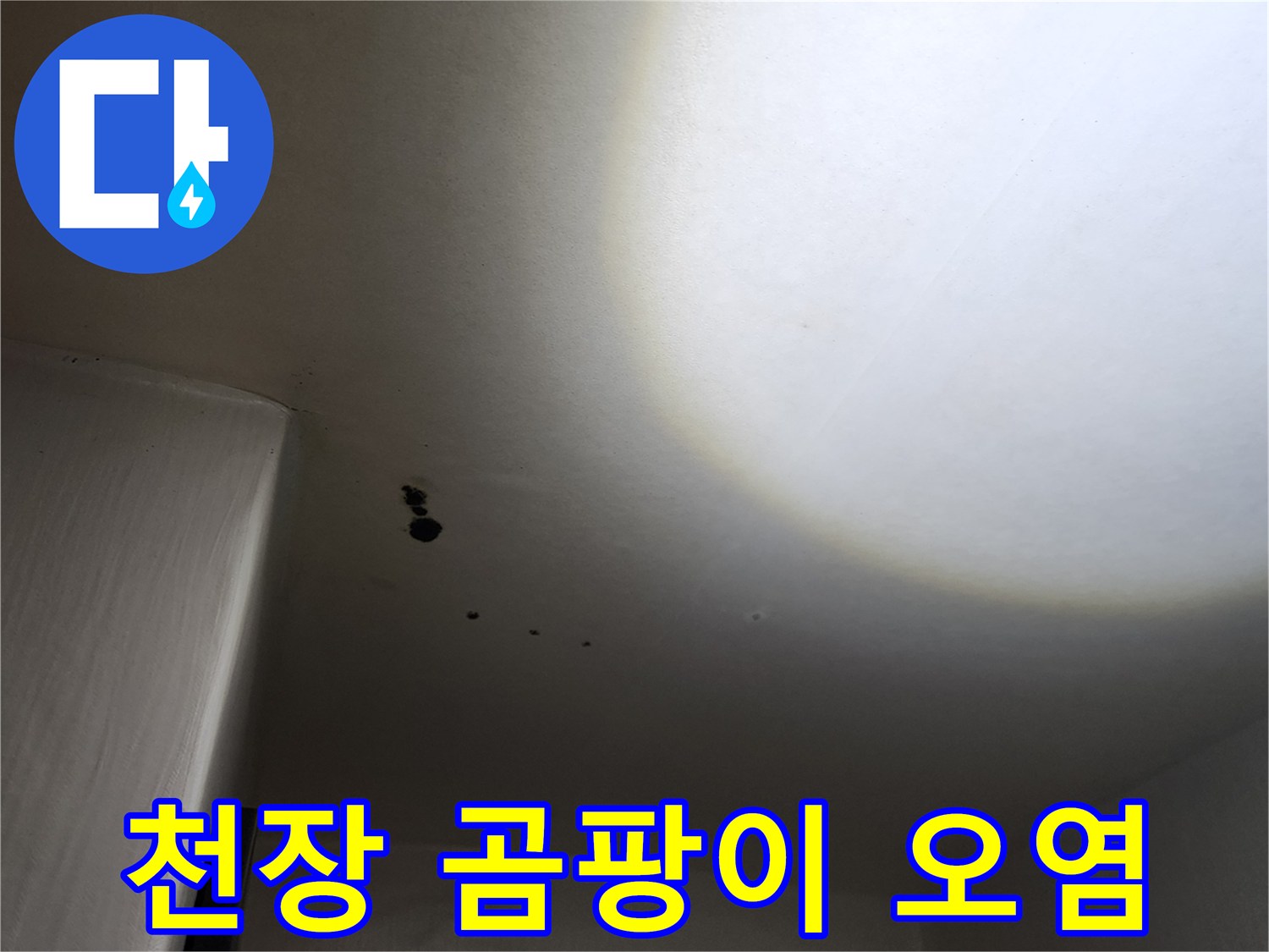 포천 군내면 현장-천장에 발생한 누수 흔적과 곰팡이