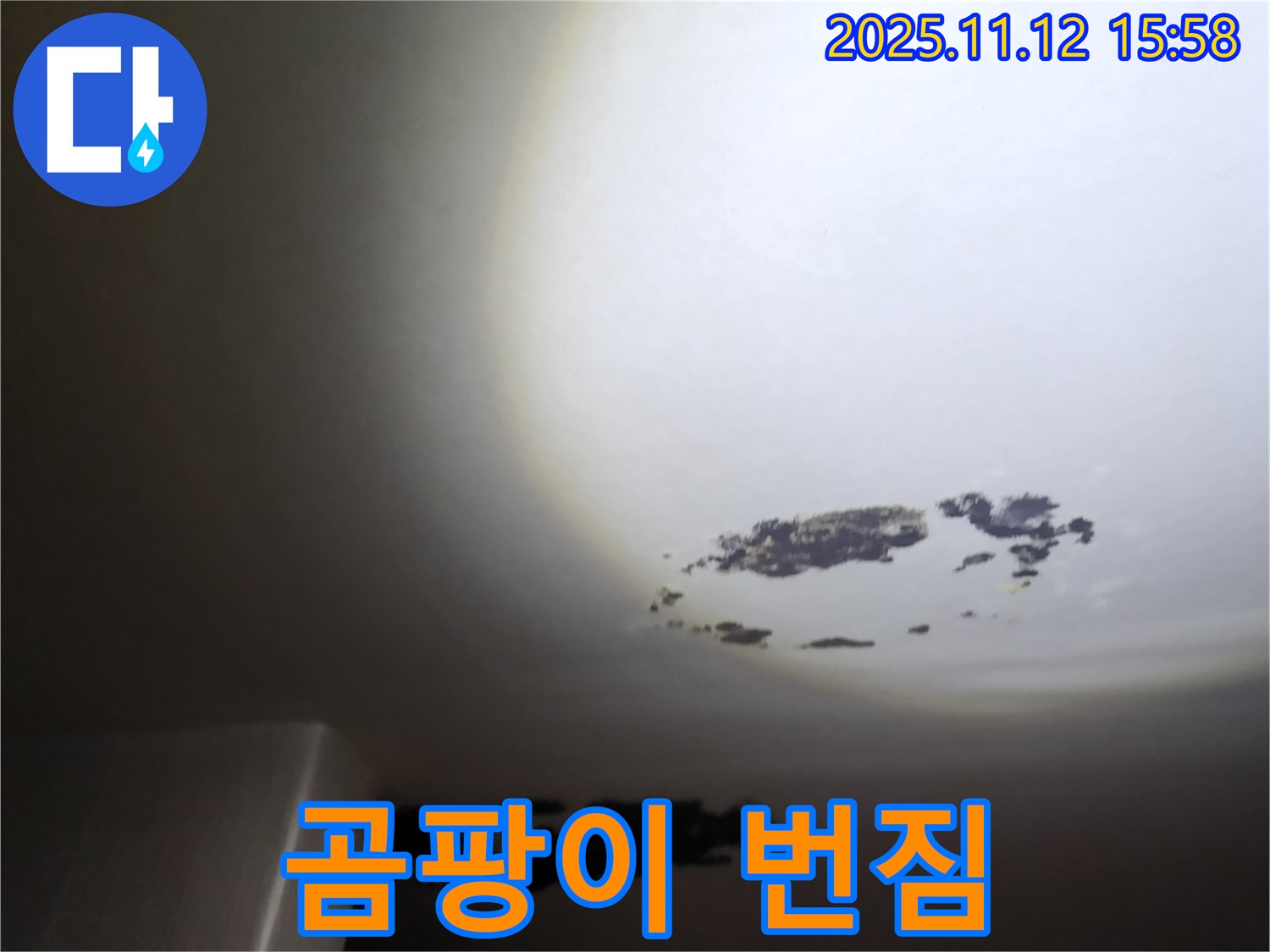 포천시 구읍리 - 곰팡이가 번지기 시작한 천장 누수 현장