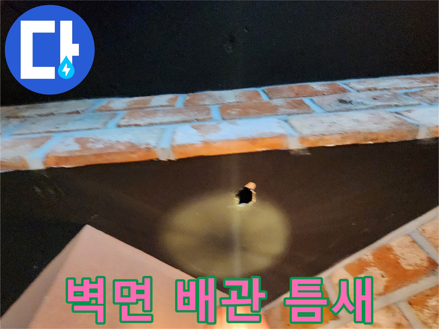 벽돌 벽 사이의 작은 구멍을 근접 촬영한 사진
