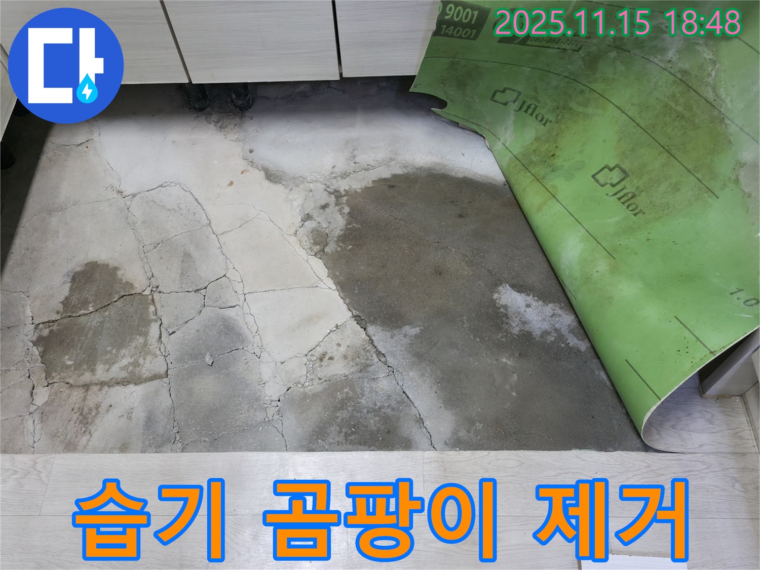 포천 선경빌라 누수 - 콘크리트 습기와 곰팡이 누수 해결 작업 진행 중