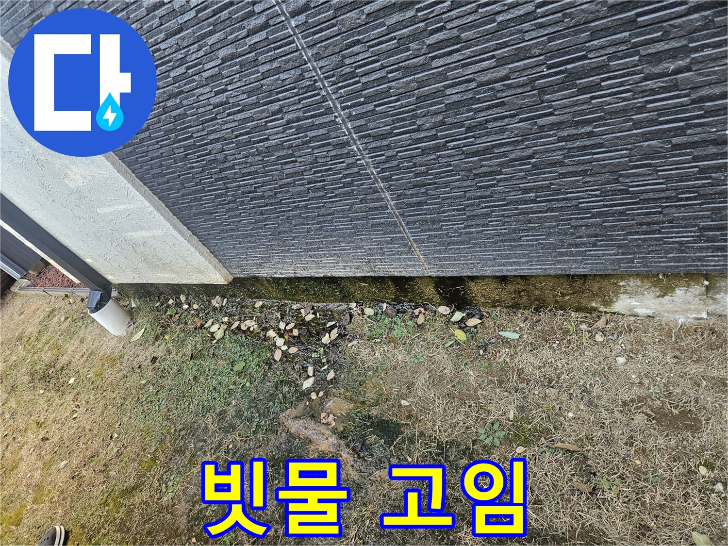 이천시 마장면 해월리 주변 외벽 누수 의심 - 빗물 고임 - 벽면 손상 우려