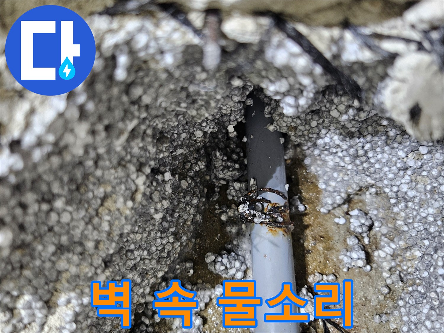 이천시 아리역로 누수 - 벽 속 물소리, 누수 지점 탐색
