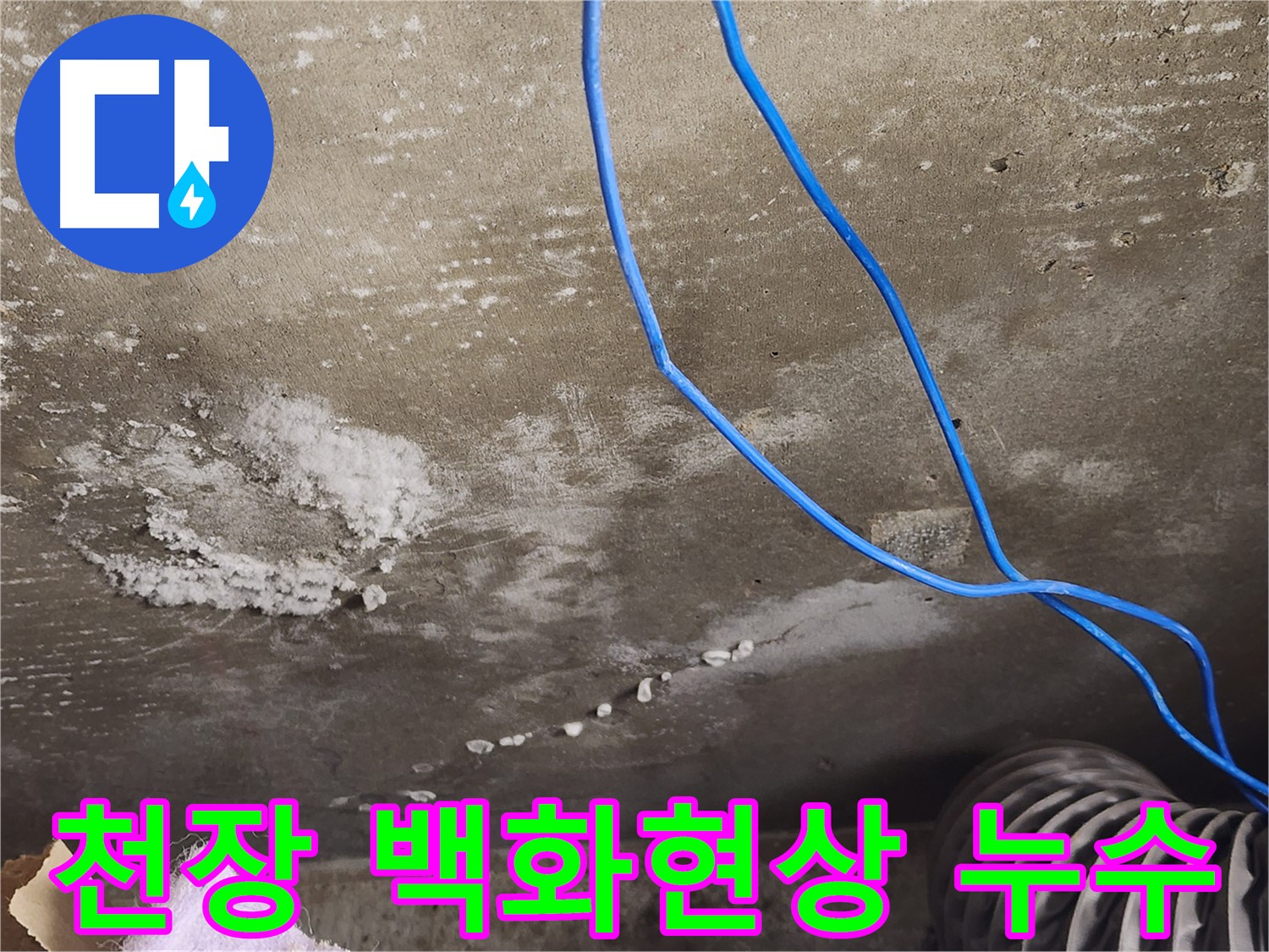 용인시 기흥구 보정동 - 콘크리트 천장 백화현상 - 석회수 누수 의심