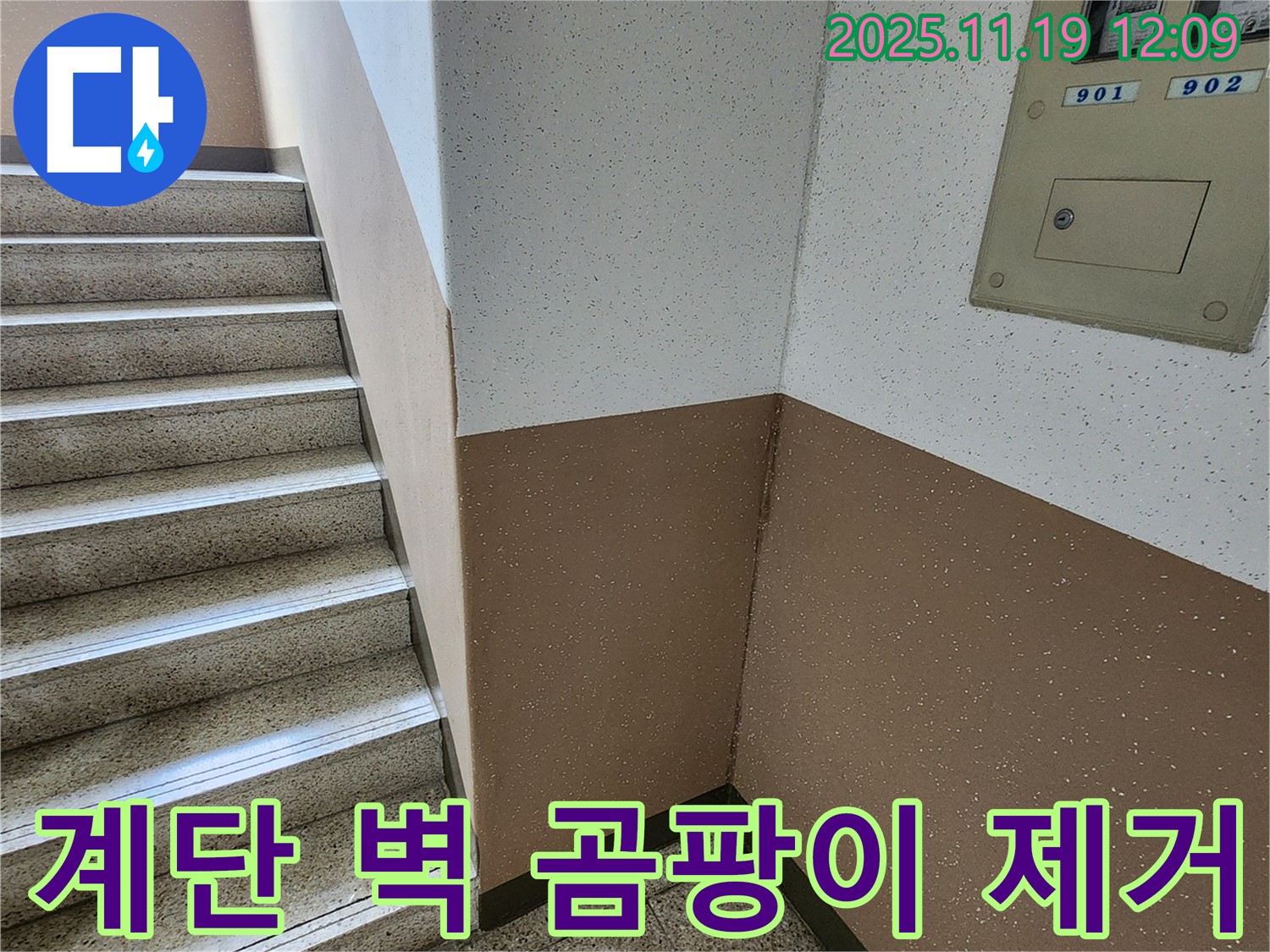 내촌면 마명리 아파트 누수 - 계단 벽 곰팡이, 냄새까지 완벽 제거!