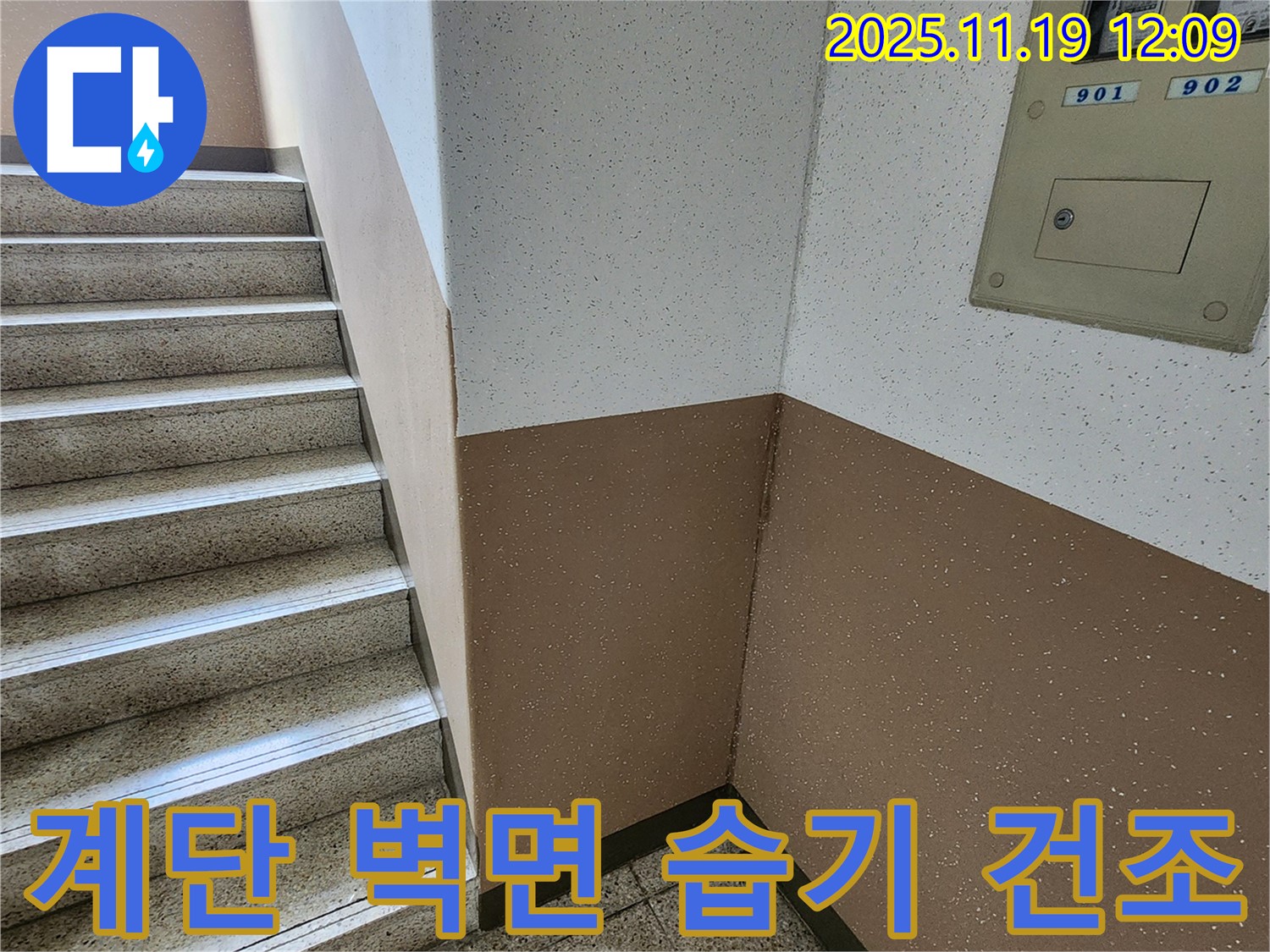 내촌면 마명리 아파트 누수 - 계단 벽면 습기, 완벽 건조 비법 공개