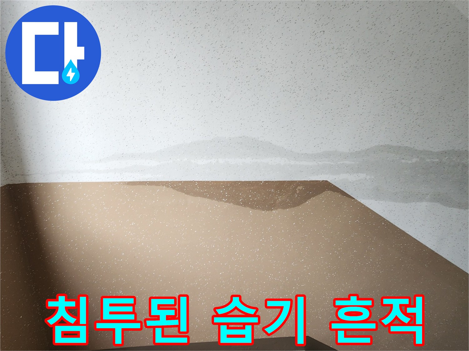 벽면 도배지 경계에 나타난 누수 침투 흔적