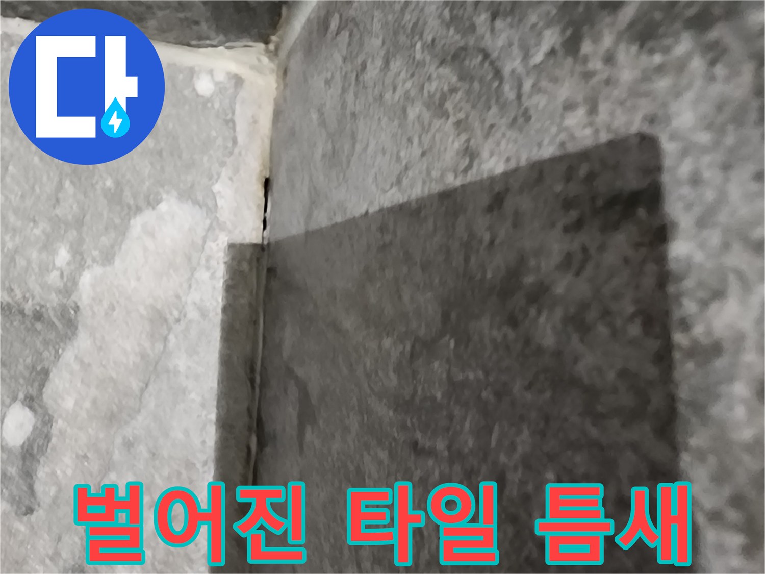 벽면-타일-경계-부위-틈새-발견