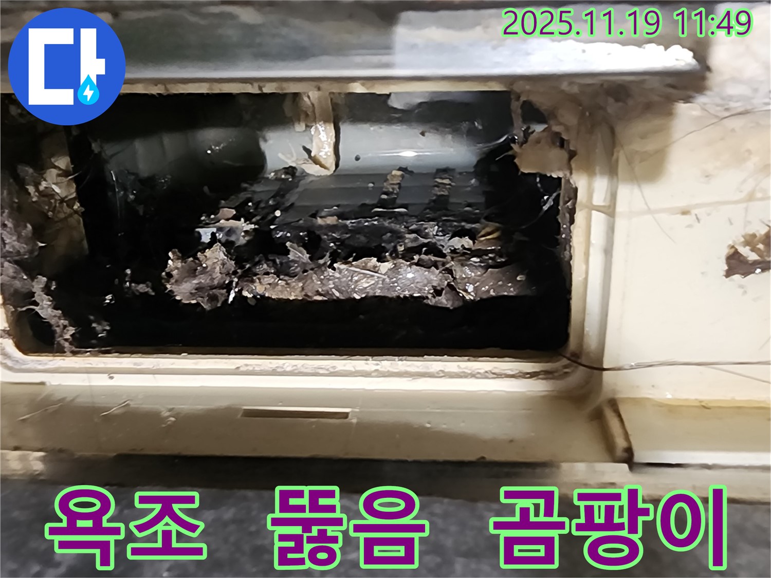 포천 내촌면 마명리 욕조 배수구를 뚫었을 때 발견된 곰팡이 덩어리