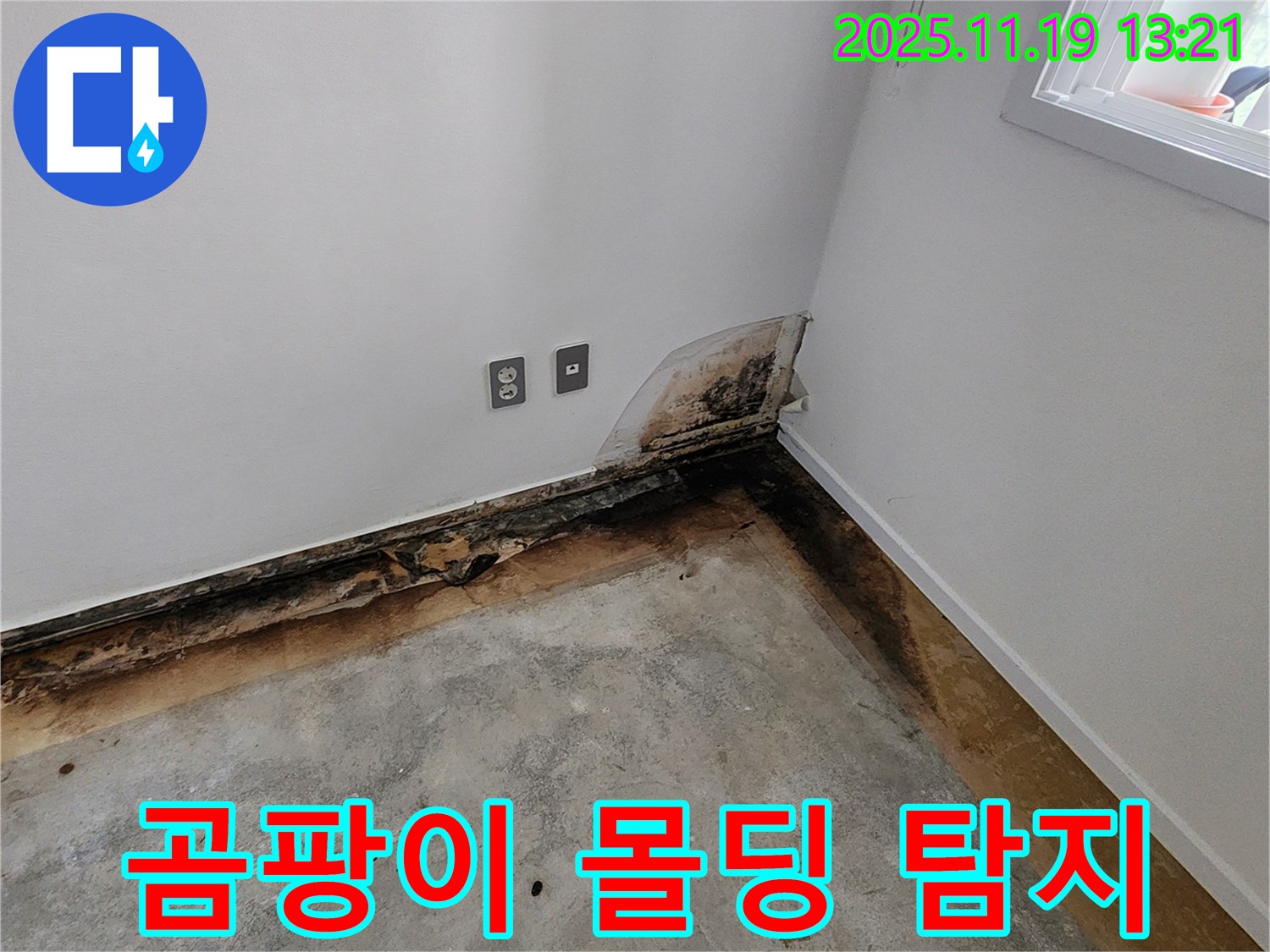 내촌면 내리 누수 - 곰팡이와 썩은 몰딩, 누수탐지 전문 업체