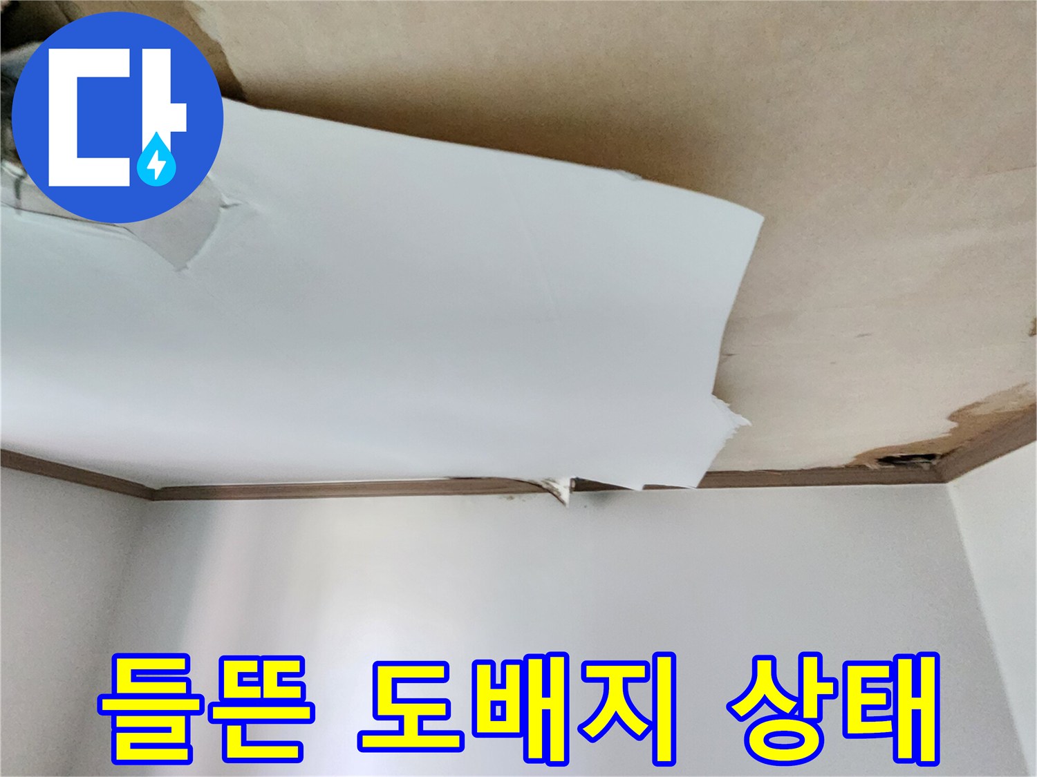 누수로 인해 하얗게 일어난 천장 벽지 부위