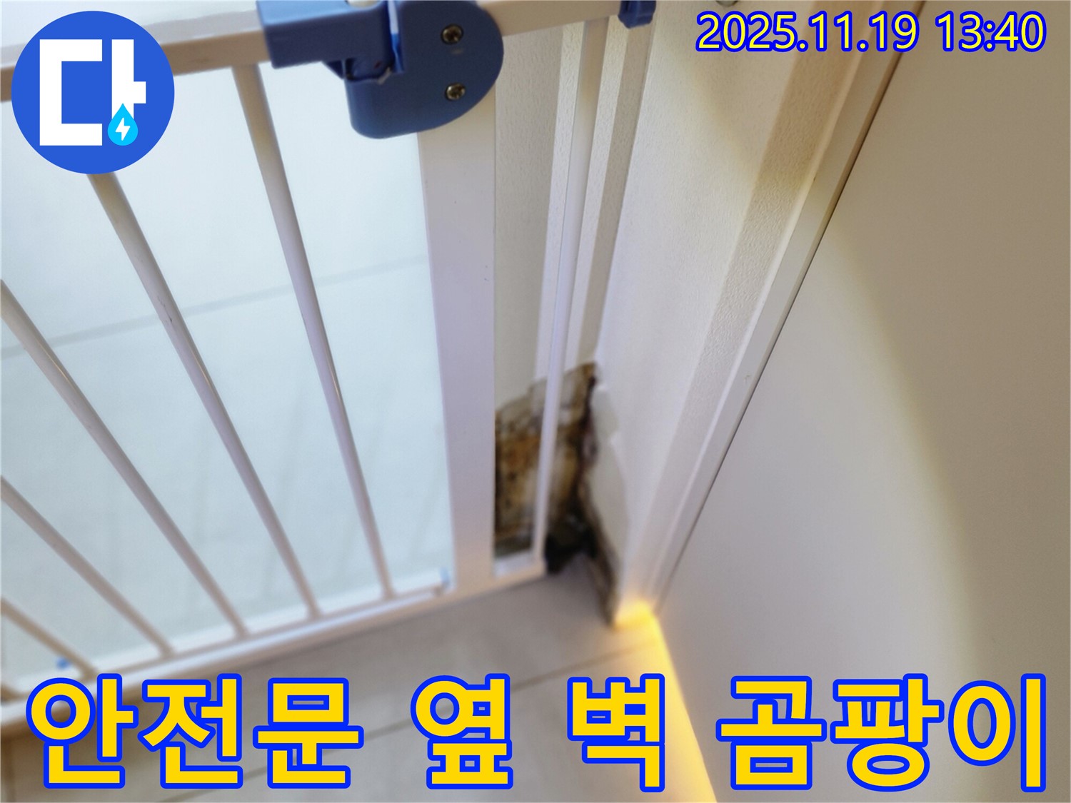 안전 문 옆 벽면 하단에 곰팡이가 심하게 발생한 모습 - 고객 고민 해결 약속