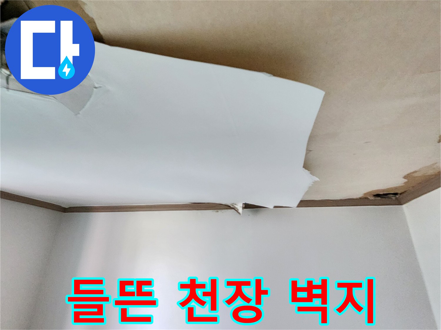 천장 도배지가 물에 젖어 크게 들떠 있는 모습