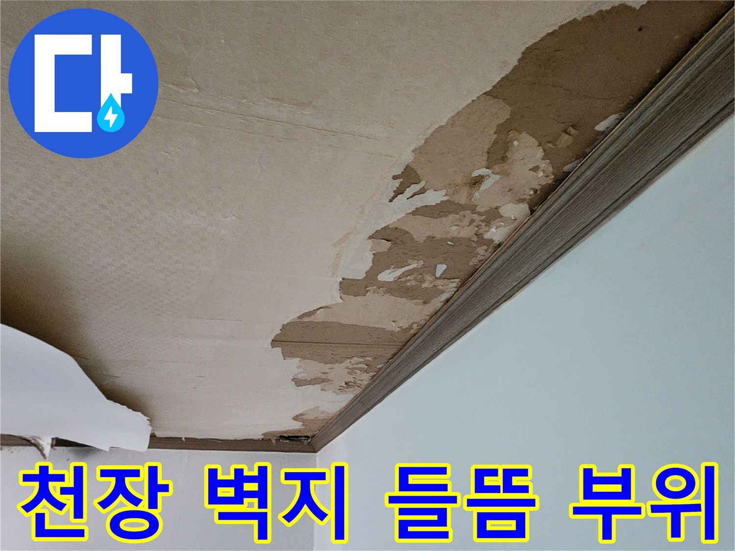 천장 마감재가 물기에 젖어 변형된 모습