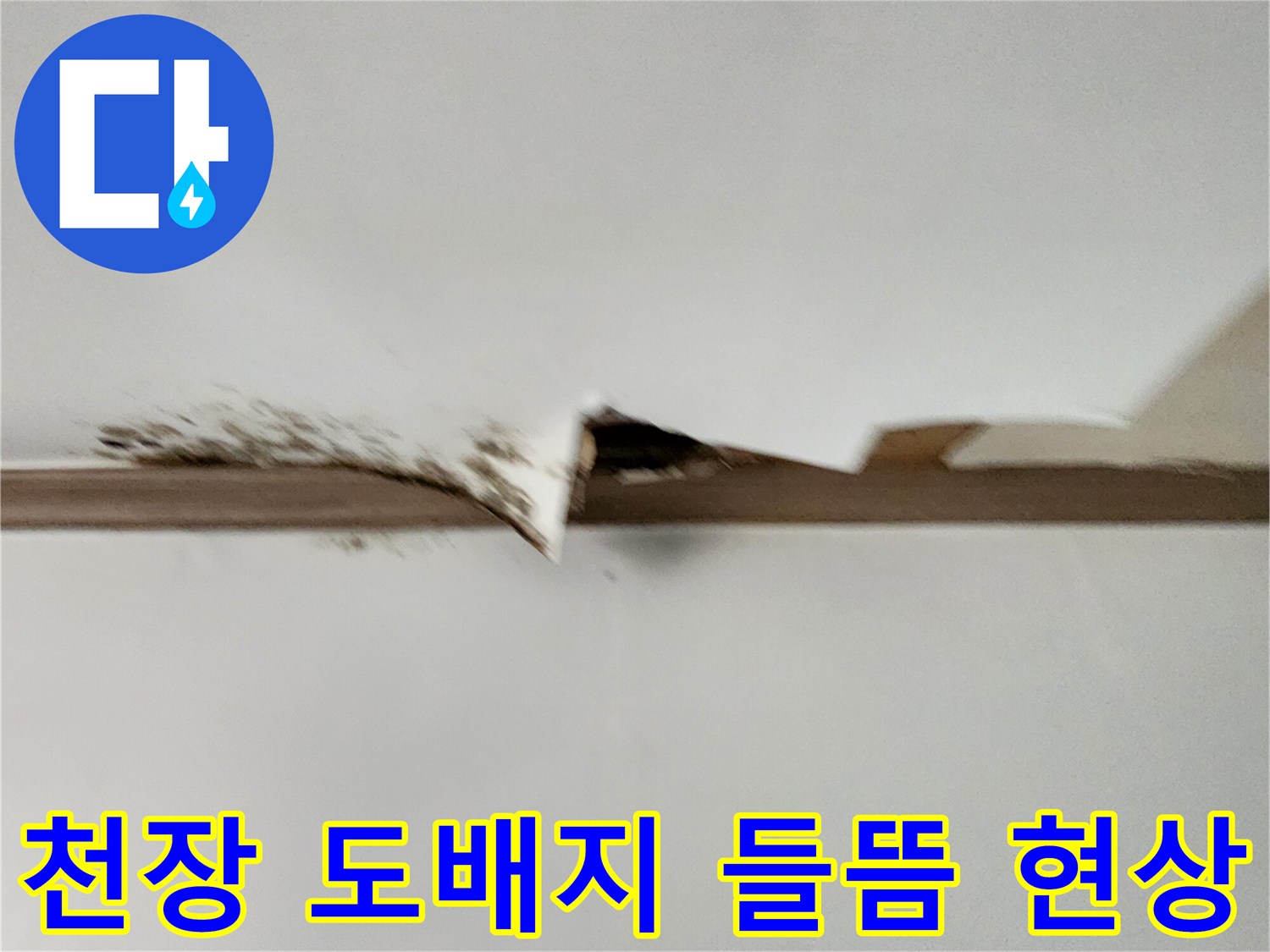 포천 내촌면 현장의 천장 벽지가 젖어 벌어진 모습