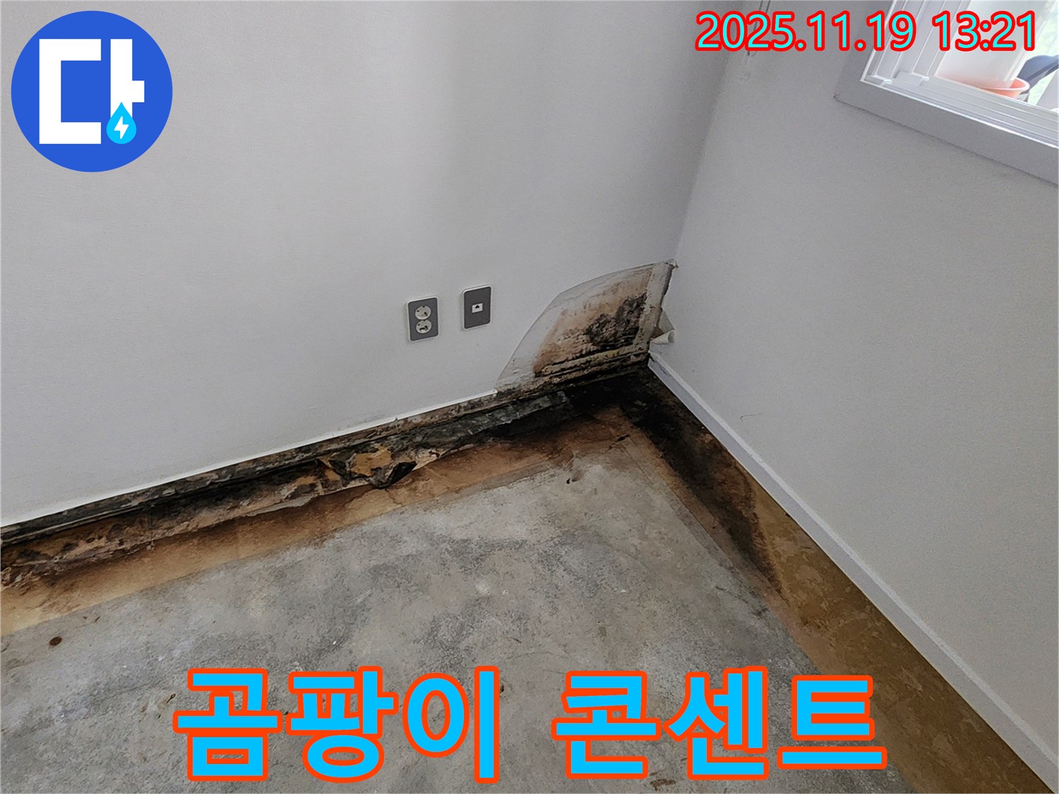 포천시 내촌면 내리 누수 - 곰팡이로 덮인 콘센트, 누전 위험 - 누수 긴급 진단