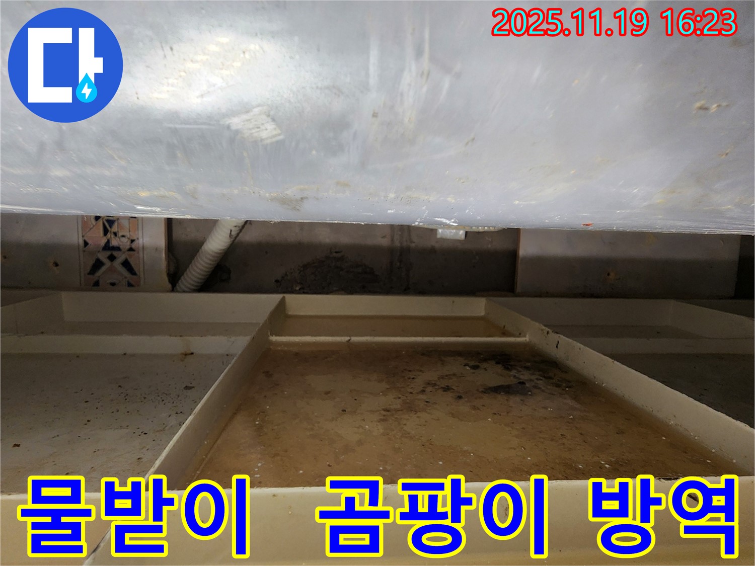 포천 내촌에서 욕조 하부 물받이에 곰팡이가 발생하여 긴급 방역 및 점검을 실시합니다 - 곰팡이 제거와 누수 해결을 동시에!