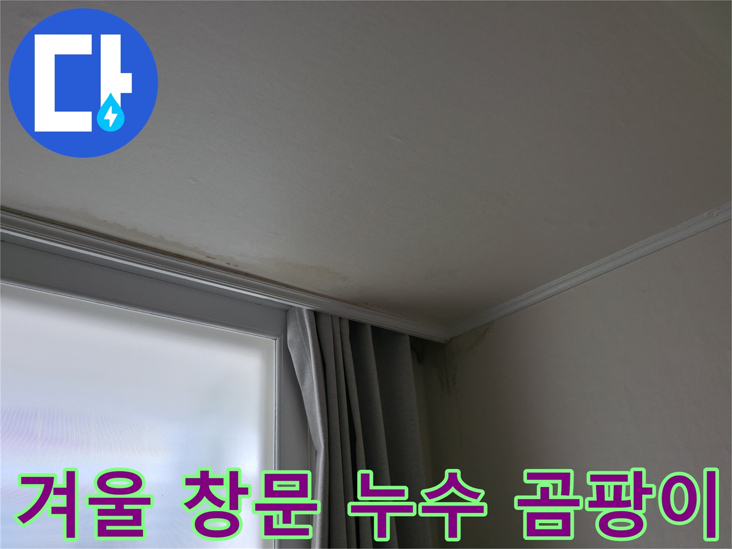 겨울철 창문 누수 - 곰팡이 문제 해결 전문