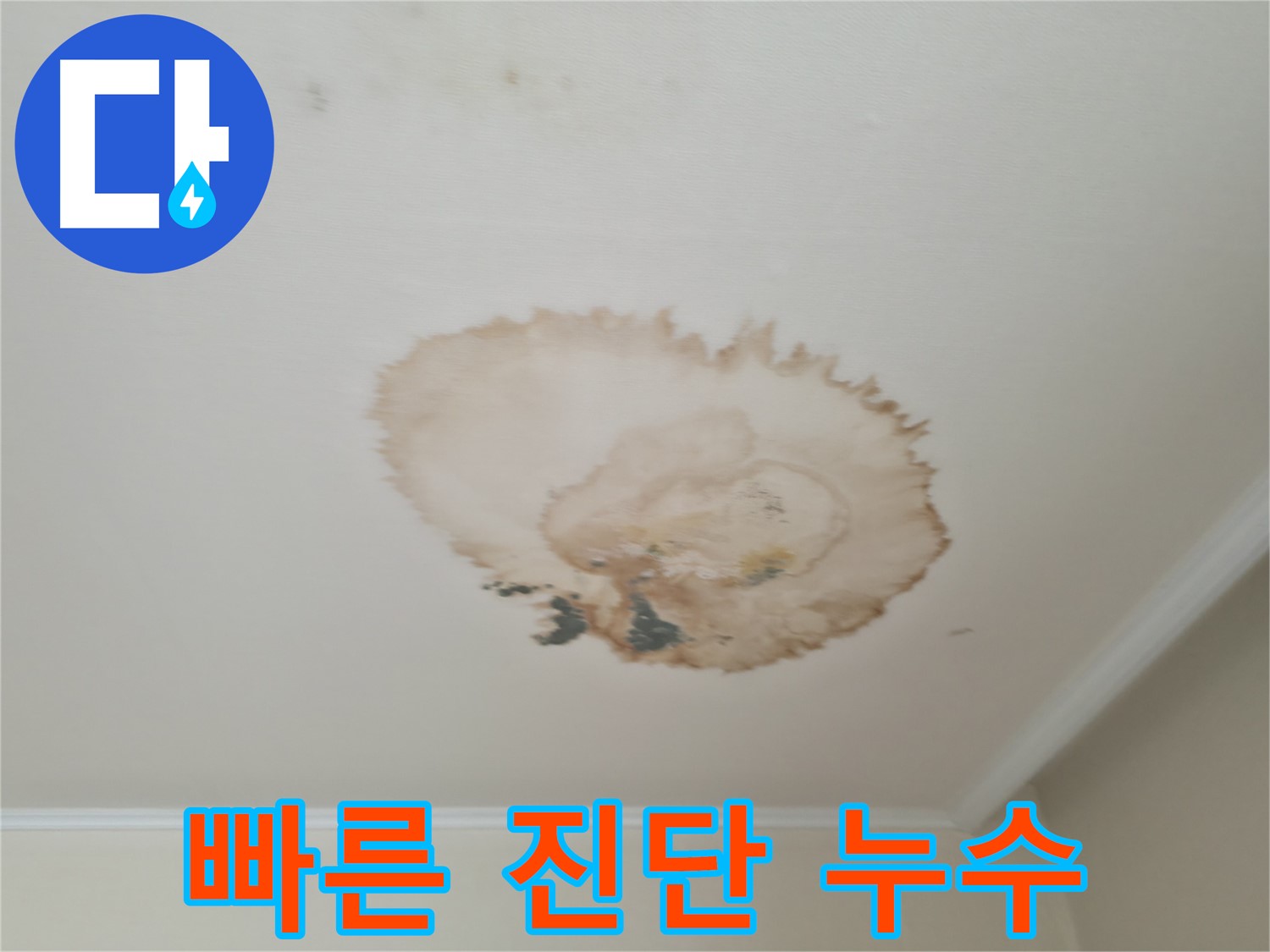 빠른 진단 - 확실한 천장 누수 해결 - 서대문구 세검정로