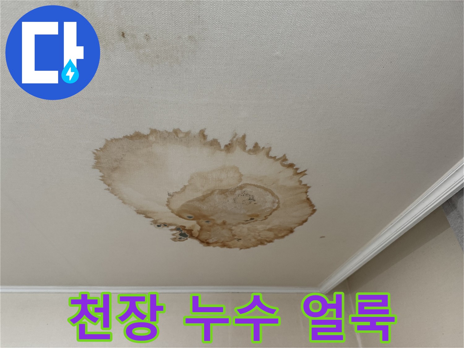 세검정 누수 - 곰팡이가 심하게 핀 천장 누수 얼룩