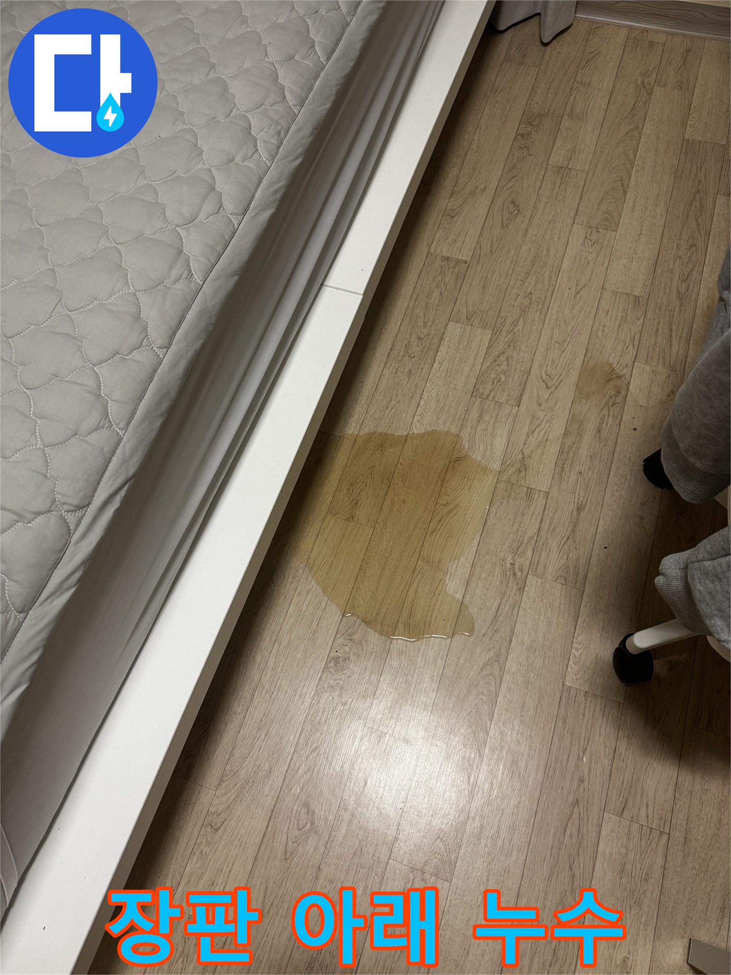 장판 아래 물이 고여있는 모습 - 습기와 곰팡이 발생 우려가 있습니다.