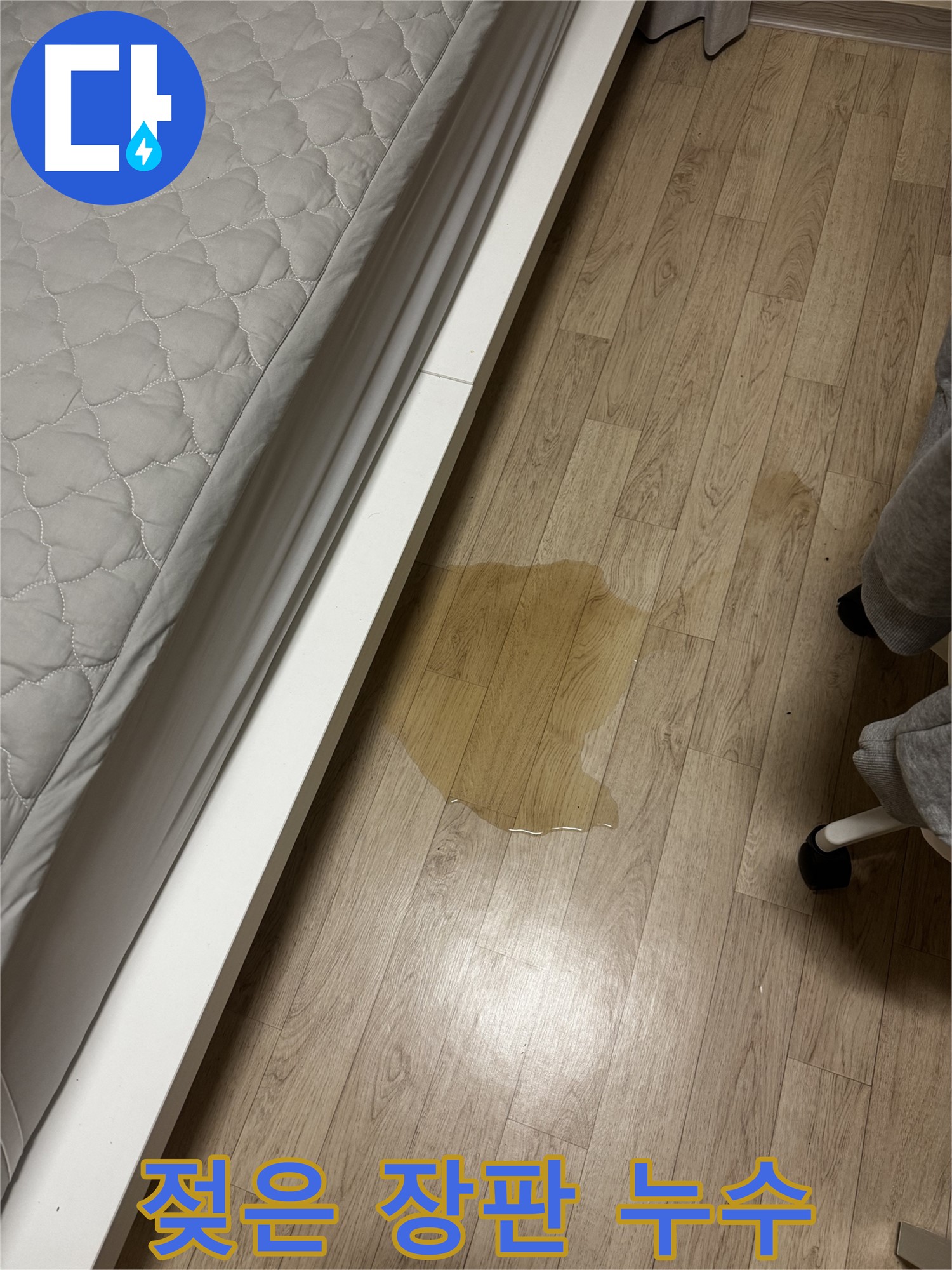 장판이 젖어있는 모습 - 빠른 누수 점검과 보수가 필요합니다.