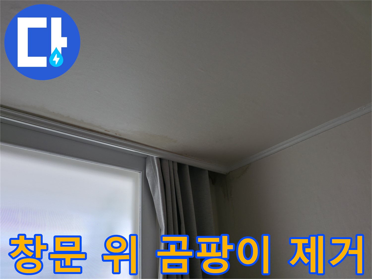 창문 위 곰팡이 - 곰팡이 제거 및 쾌적한 공간