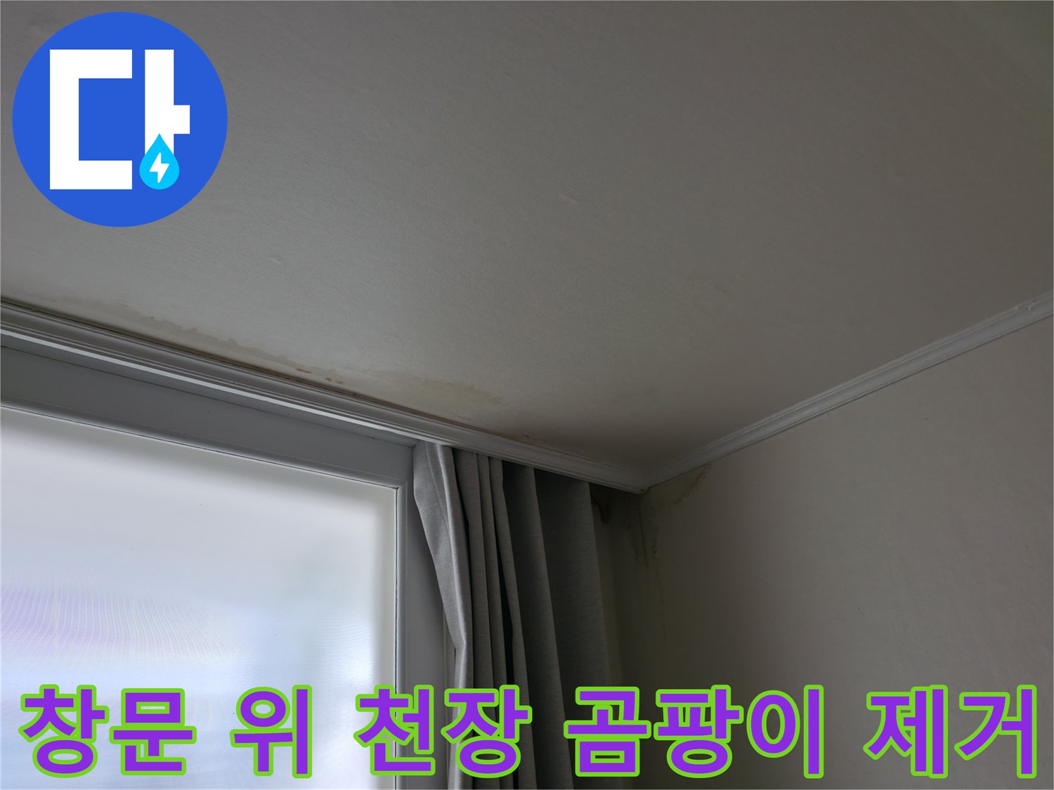 창문 위 천장 곰팡이 - 곰팡이 제거 및 쾌적한 환경 조성