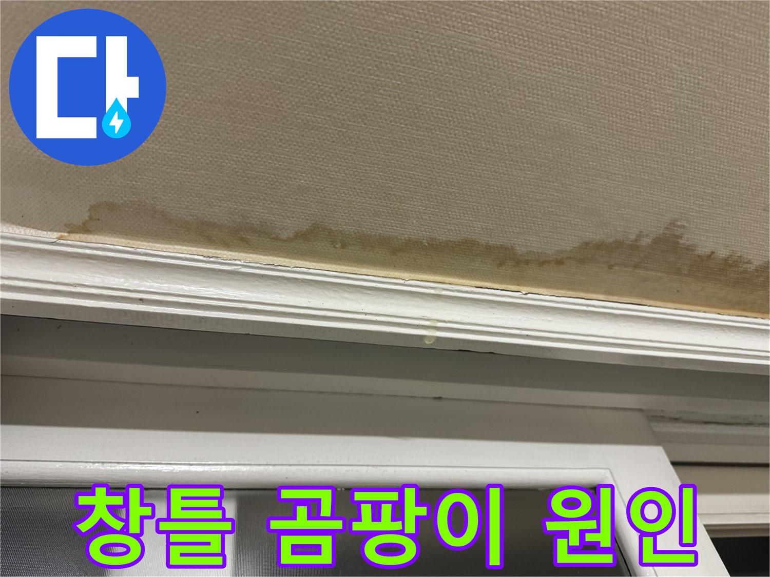 창틀 주변의 곰팡이 - 누수로 인한 곰팡이 발생을 보여주며, 건강에 미치는 영향과 해결의 중요성을 강조합니다.