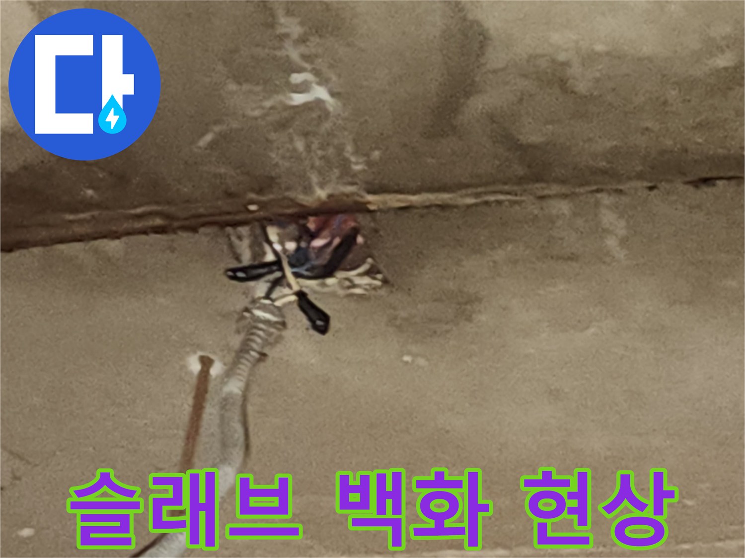 천장 슬래브-물에 젖은 콘크리트와 백화 자국