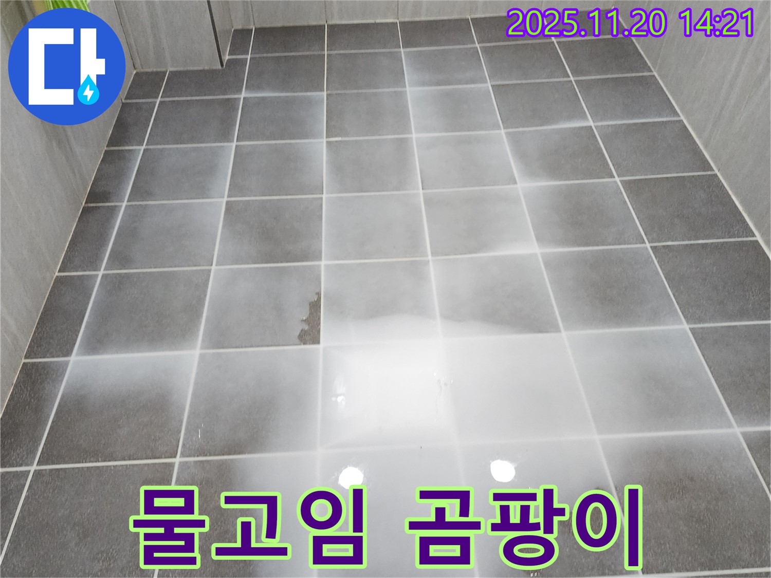 욕실 물고임 - 곰팡이 및 악취 우려, 꼼꼼한 점검 필요