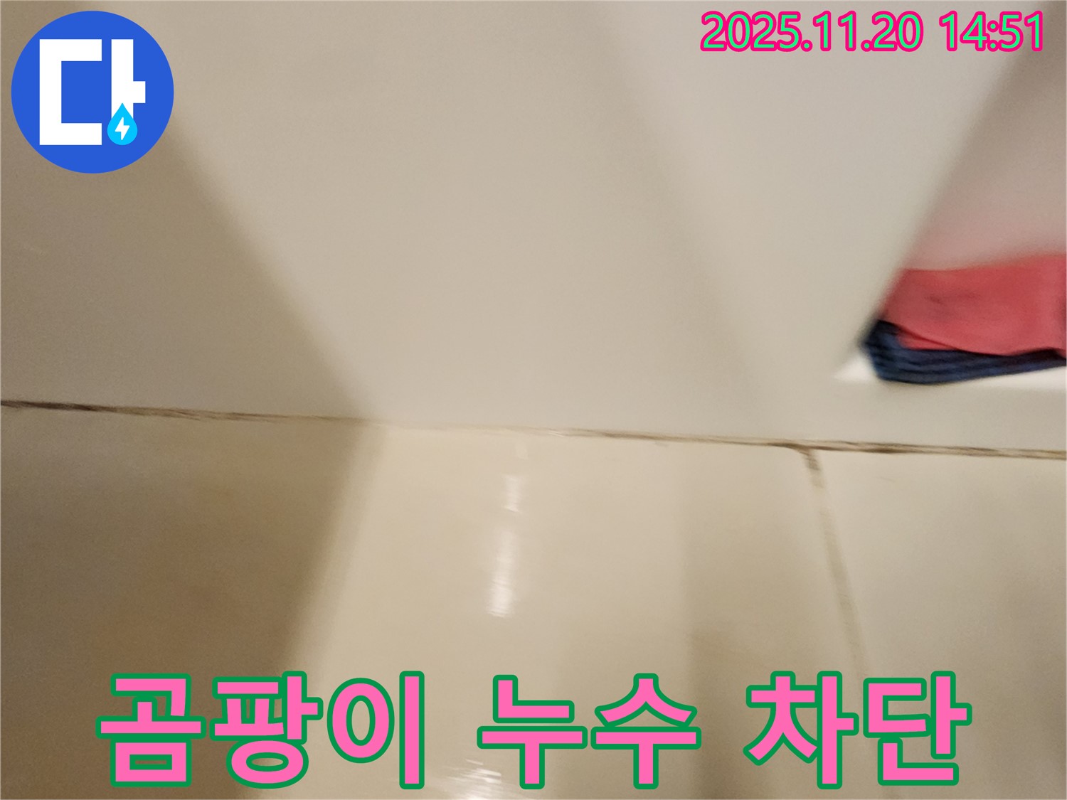 포천 가산면 마산리 - 곰팡이 핀 타일 틈새 누수 - 곰팡이 제거와 완벽 방수 시공으로 누수 걱정 없이 쾌적한 욕실을!