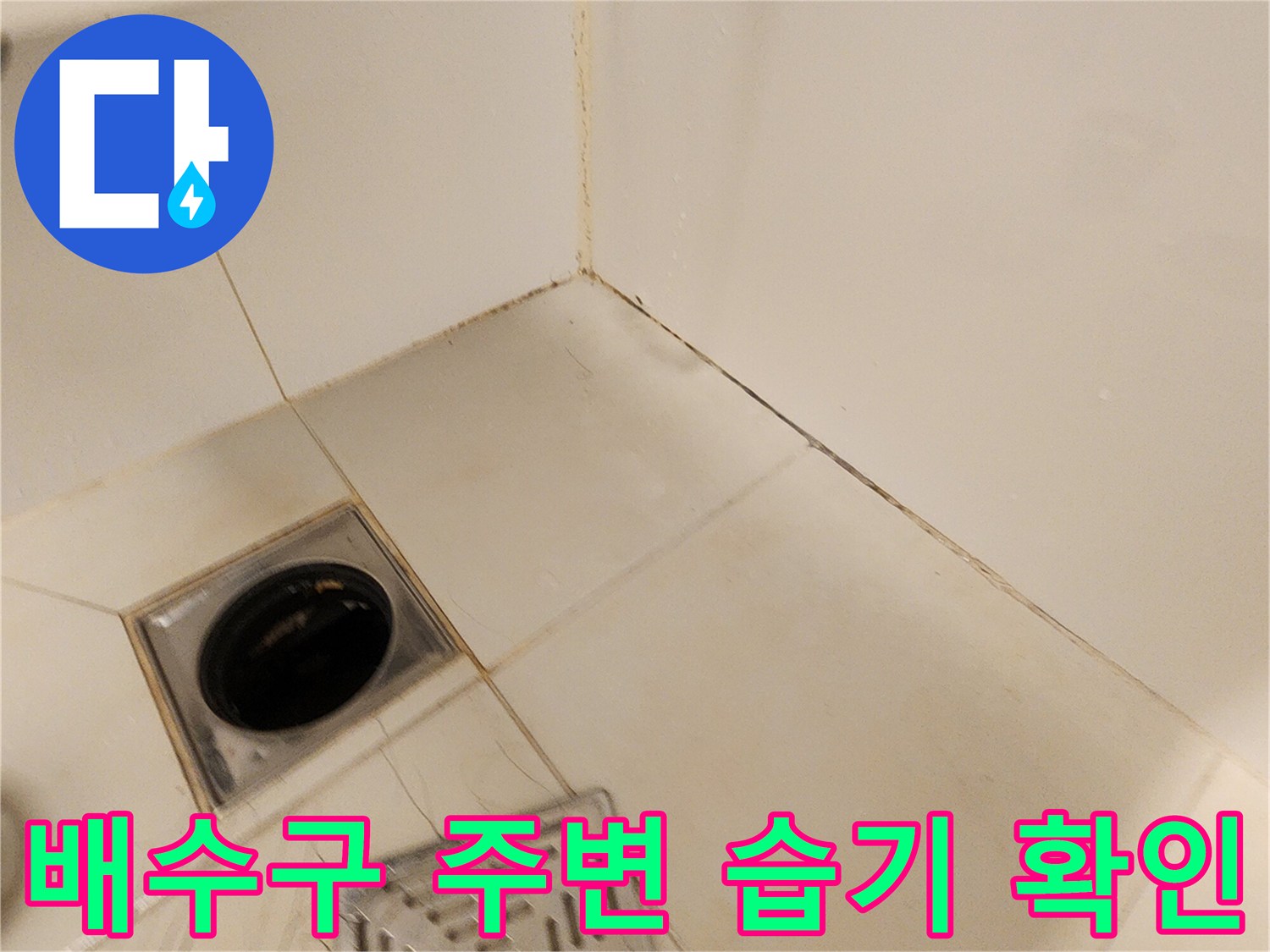 포천 가산면-화장실 배수구 유가 주변 점검 사진