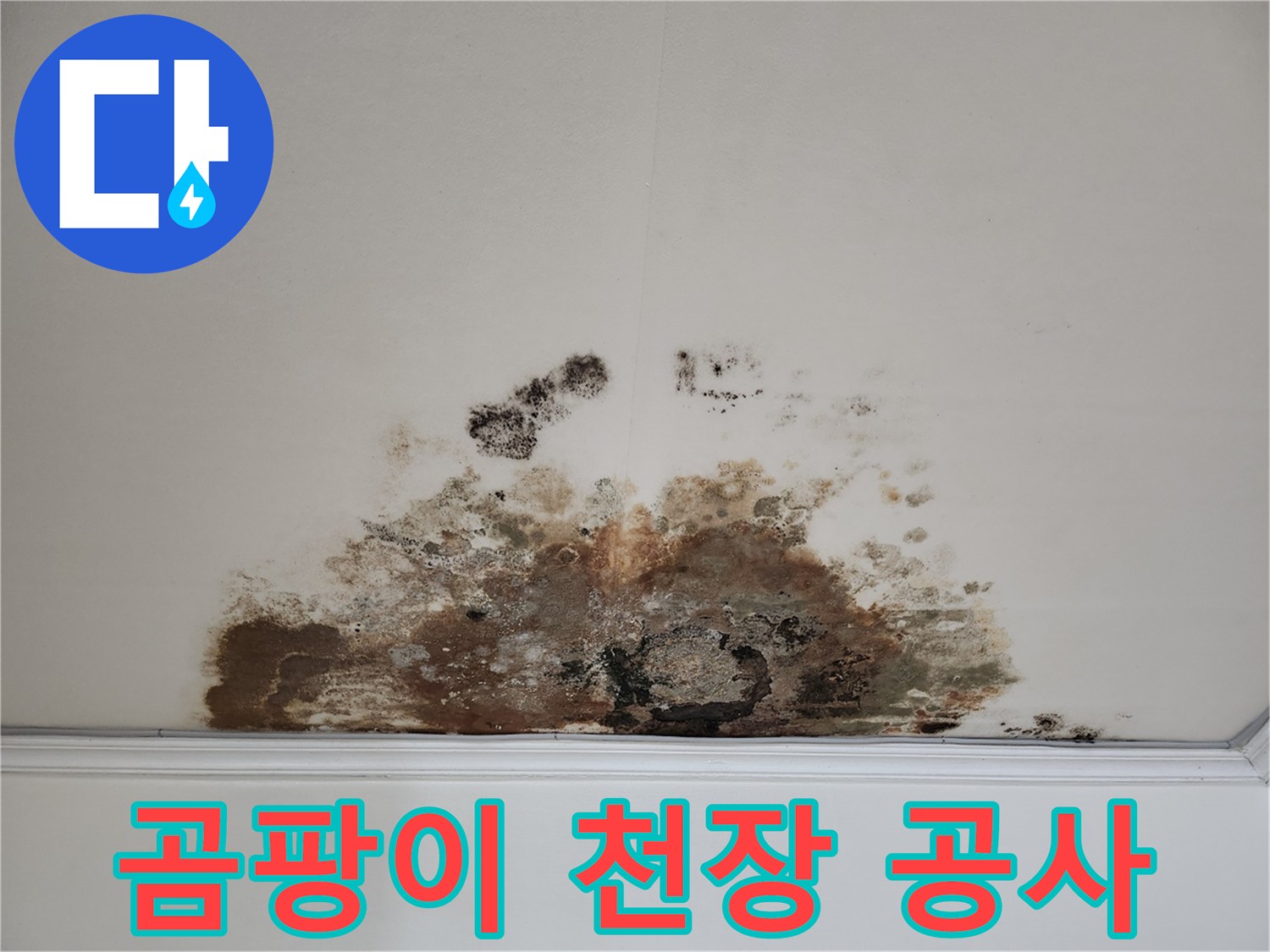 마포구 긴급 누수 - 곰팡이 천장 신속 진단 및 완벽 공사 약속