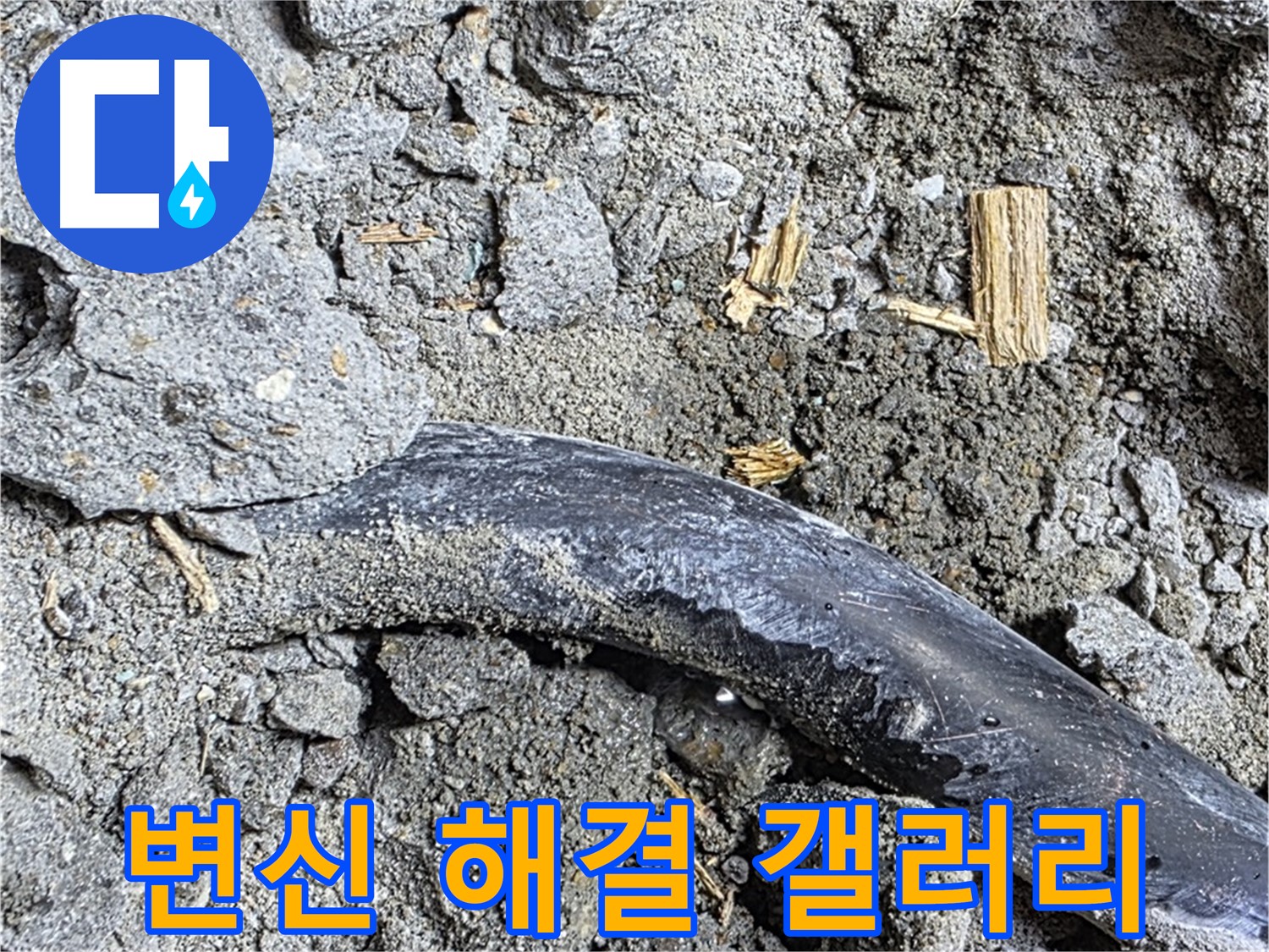 마포구 용강동 현대홈타운 - 젖은 흙과 곰팡이 - 누수 진행 중