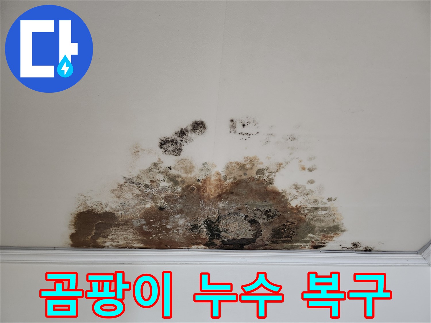 마포구 아파트 곰팡이 누수 - 100% 완벽 복구 및 만족 보장