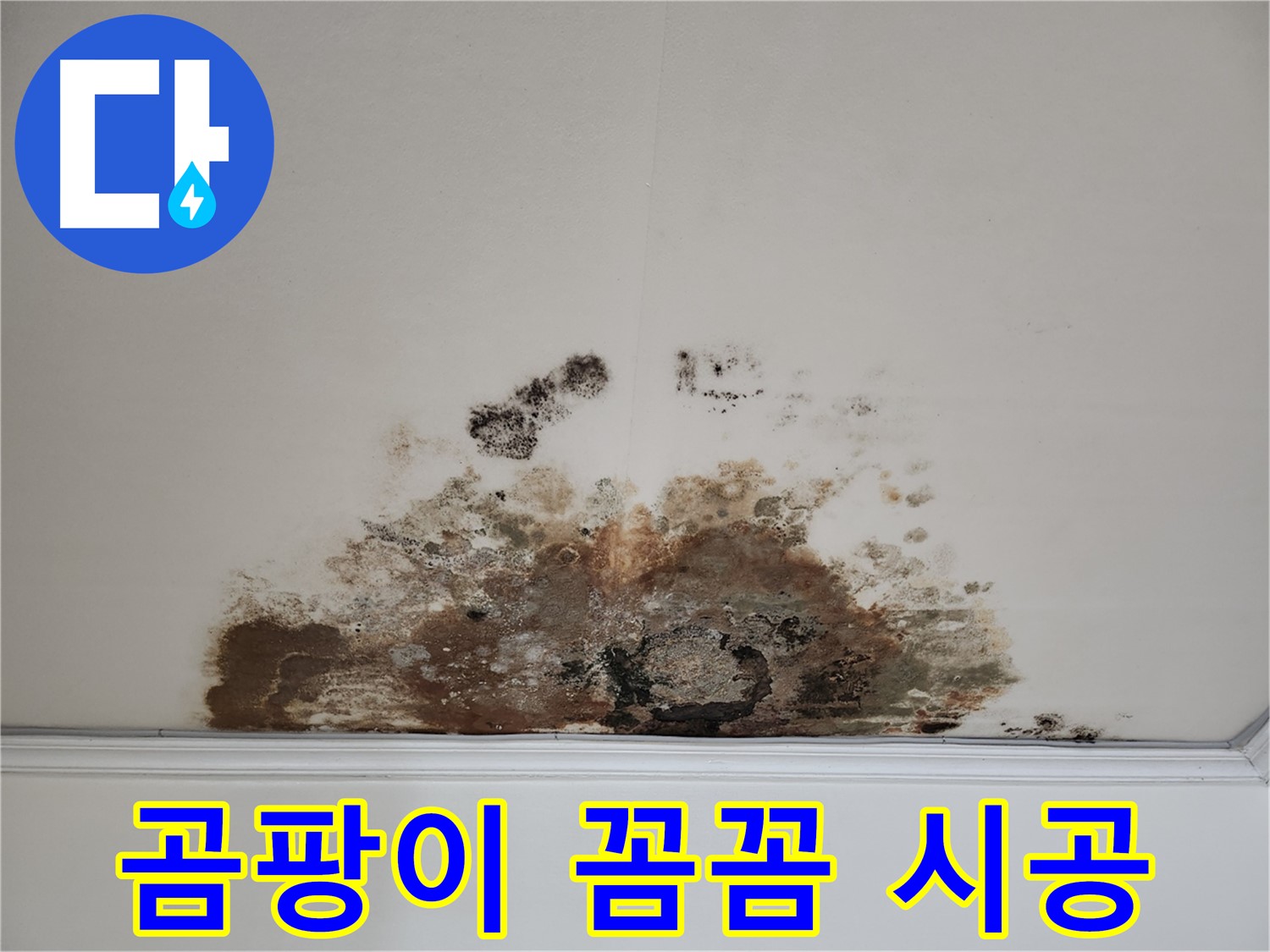 마포구 용강동 누수 - 곰팡이 천장, 꼼꼼 시공 및 확실한 결과 약속