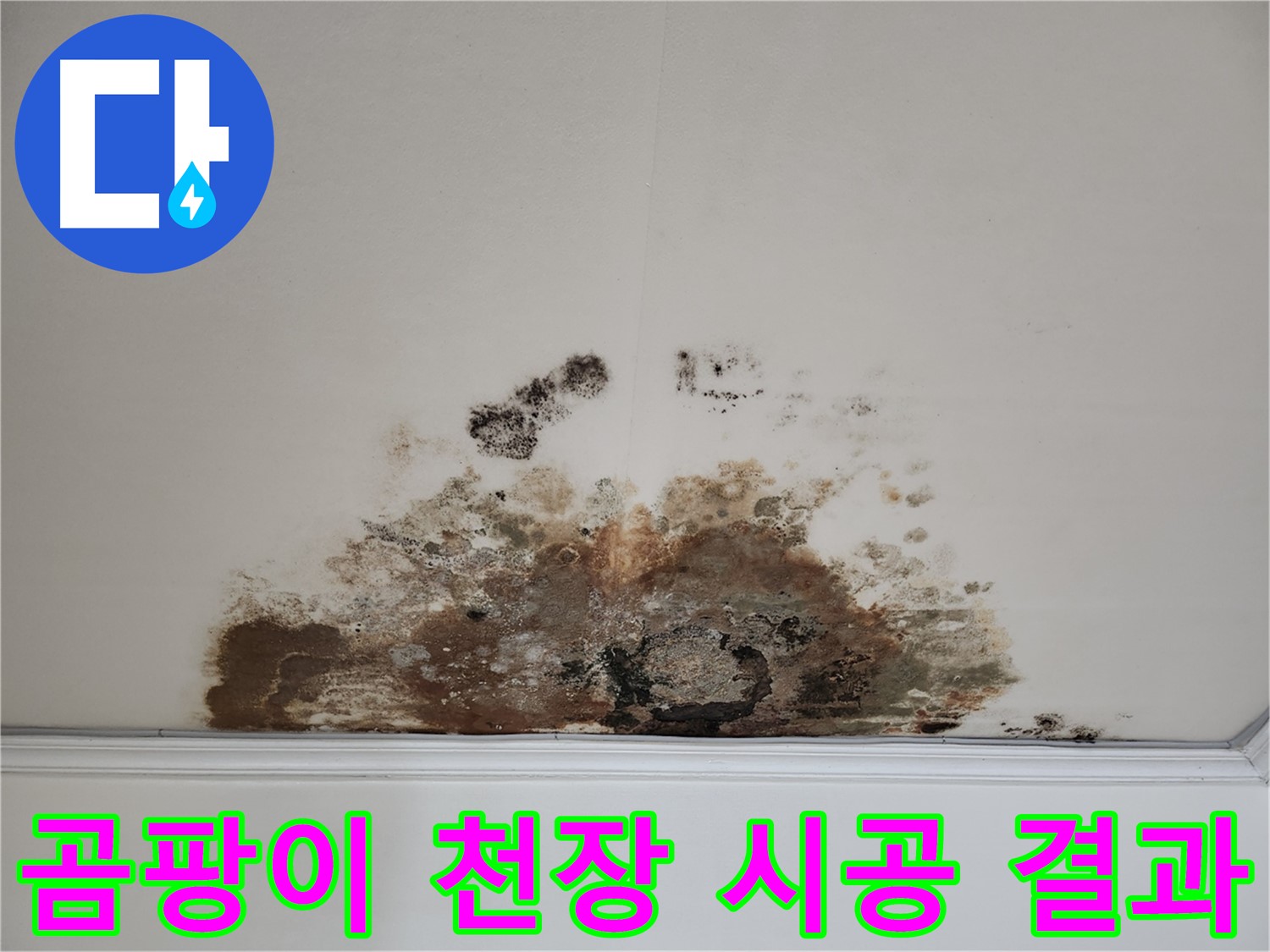 마포구 용강동 누수 곰팡이 천장 - 꼼꼼한 시공 확실한 결과 책임