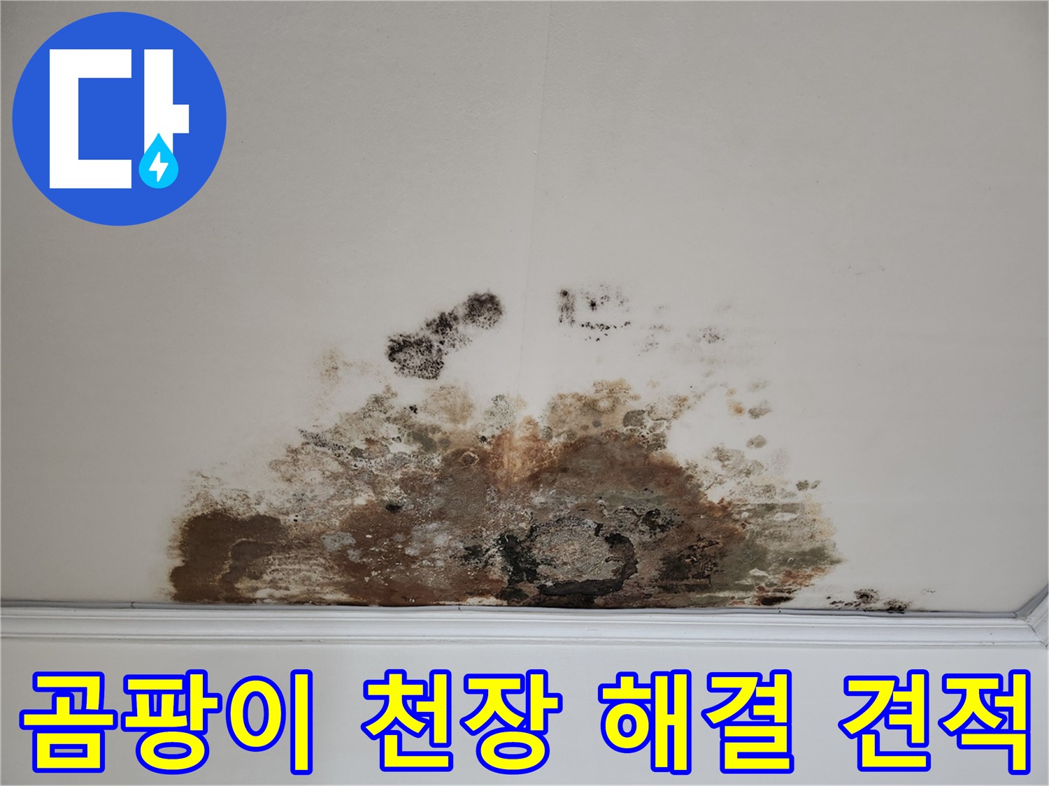 마포구 용강동 누수 곰팡이 천장 - 합리적 견적 완벽 해결 보장