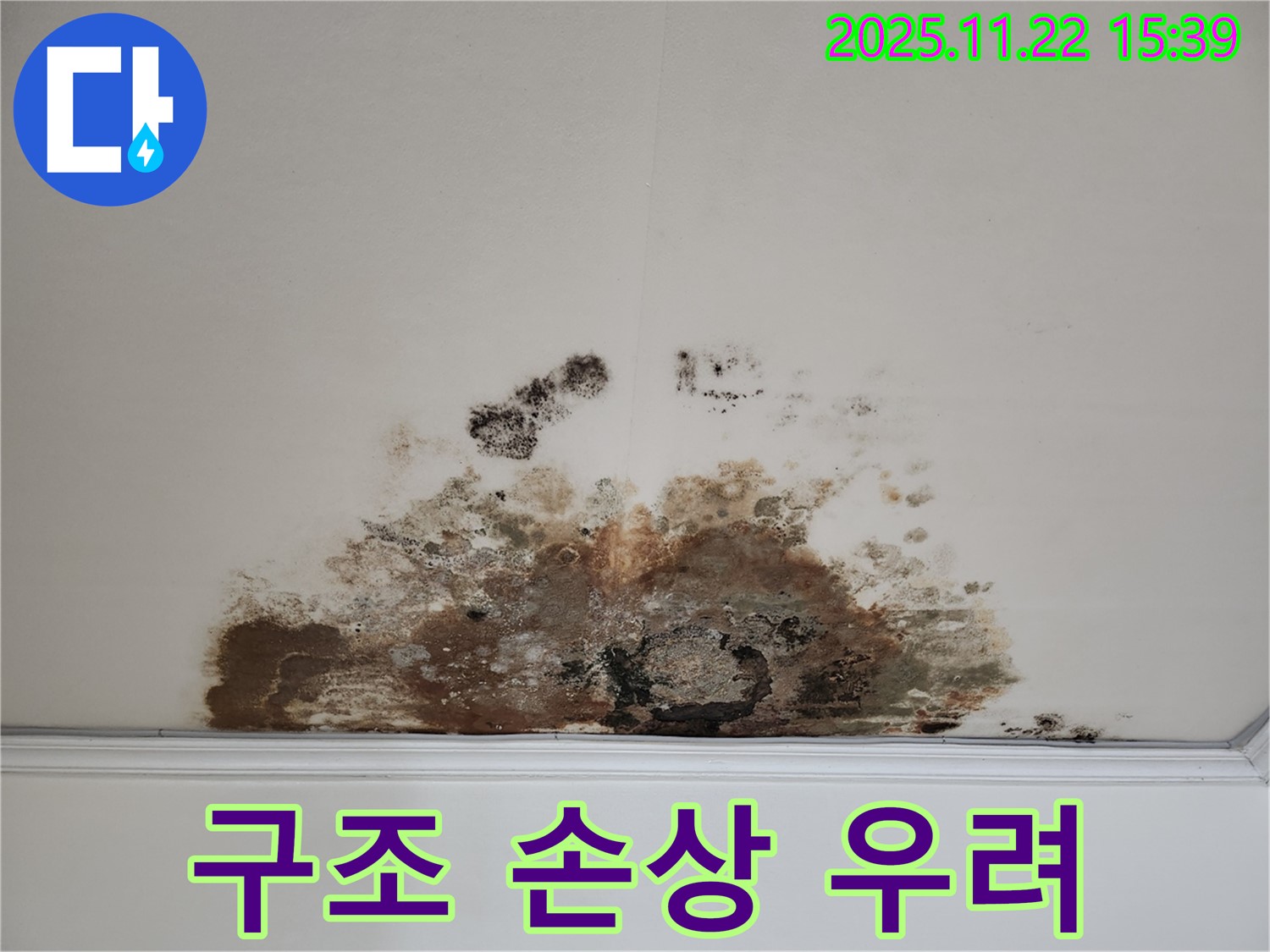 마포구 용강동 아파트 - 곰팡이 누수, 건물 구조 손상 우려! 빠른 보수가 필요!